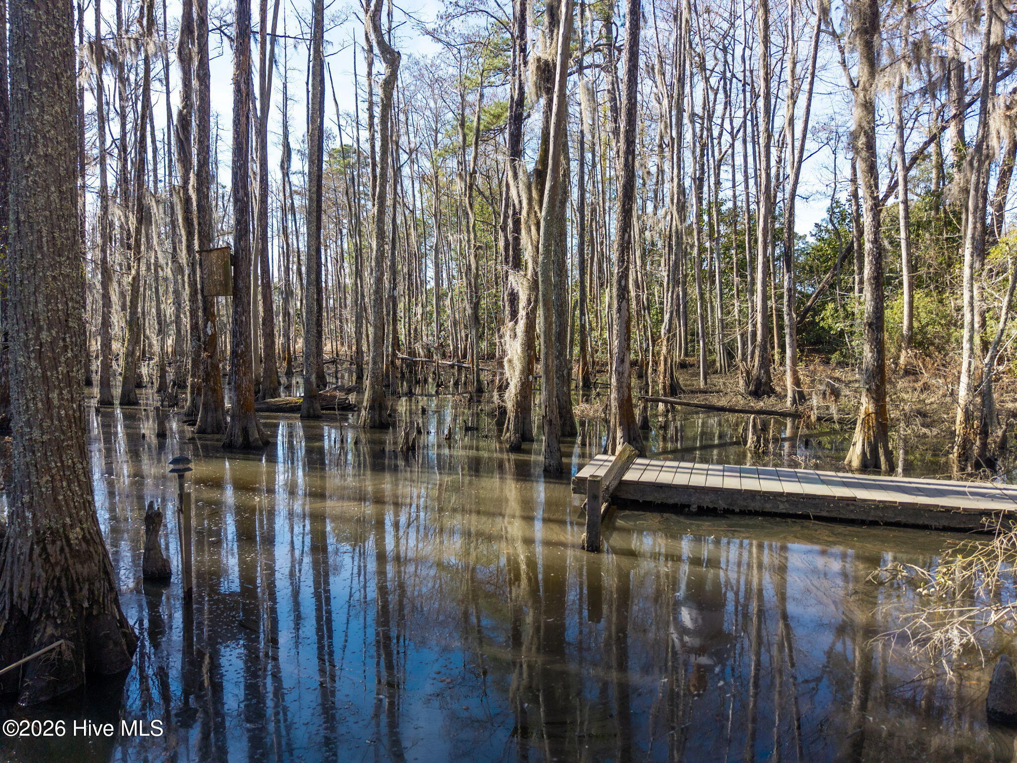 100550743 | Photo 21