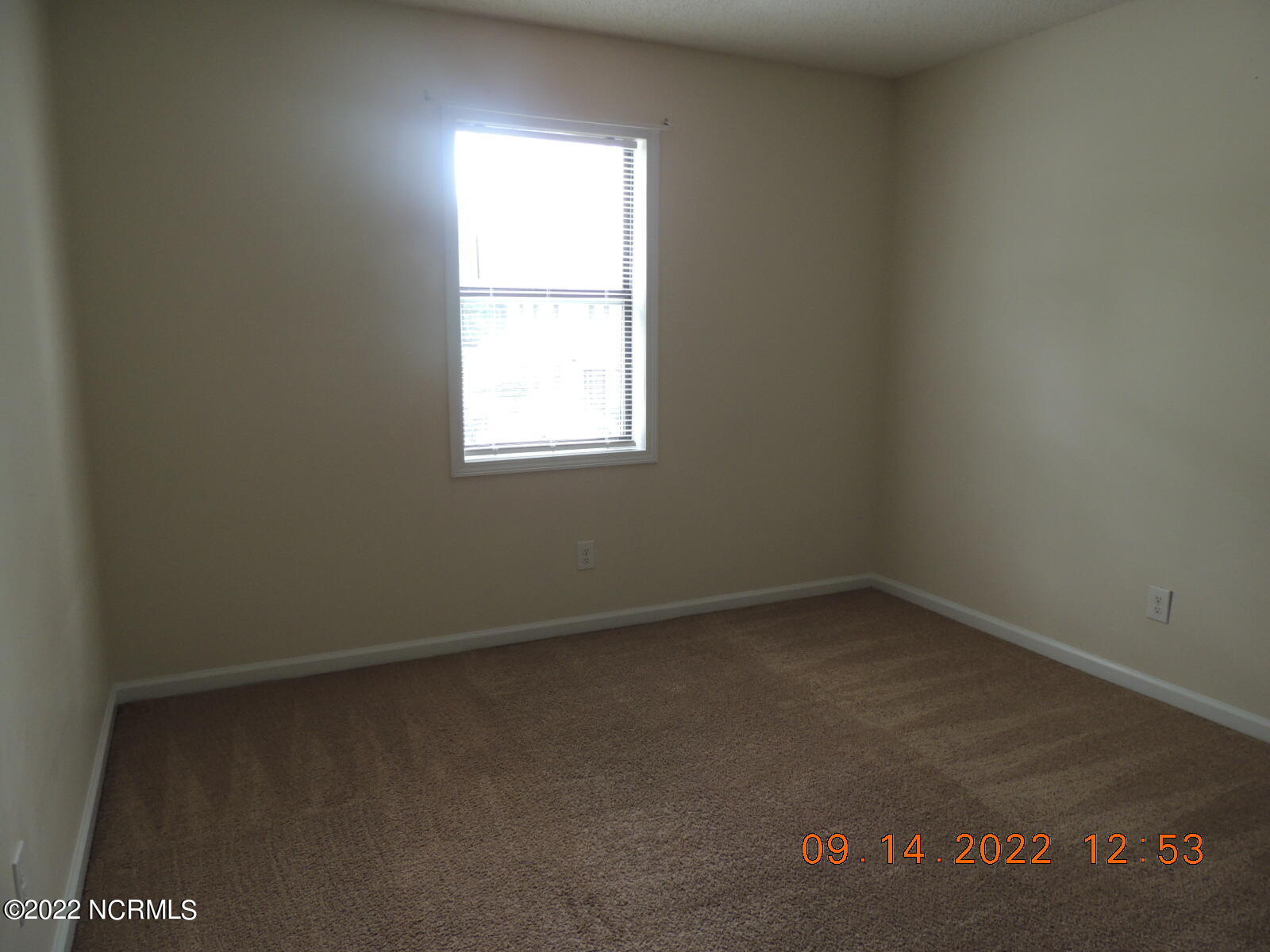 100548938 | Photo 12