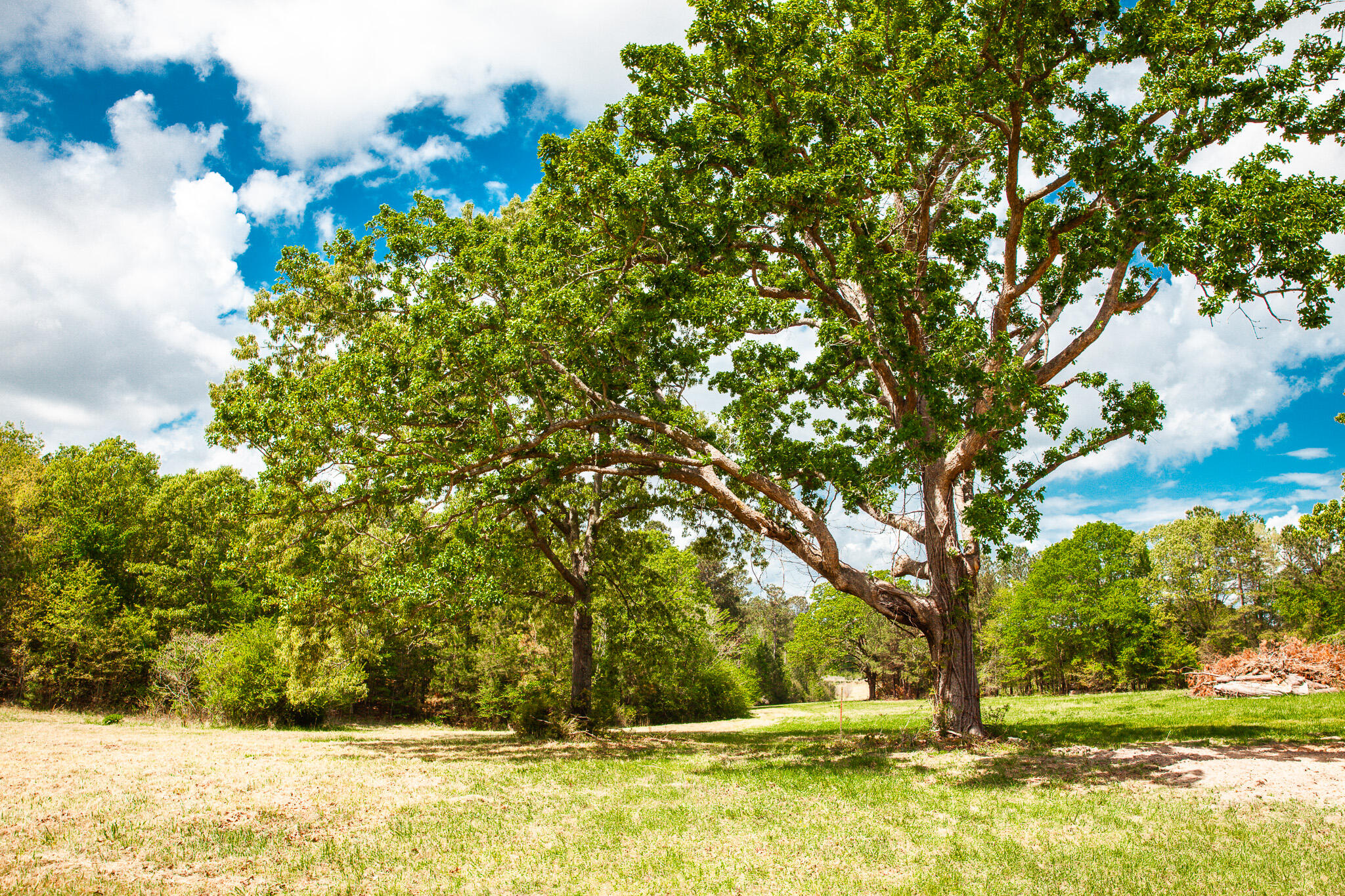 375 & 383 Wolfridge Road NE, Leland, NC, 28451