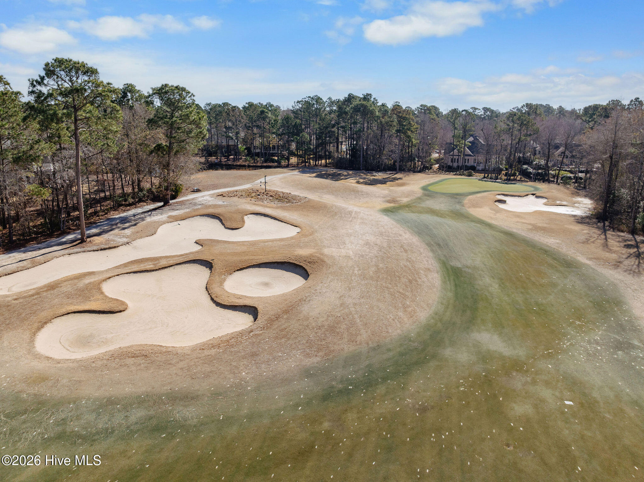 100557018 | Photo 65