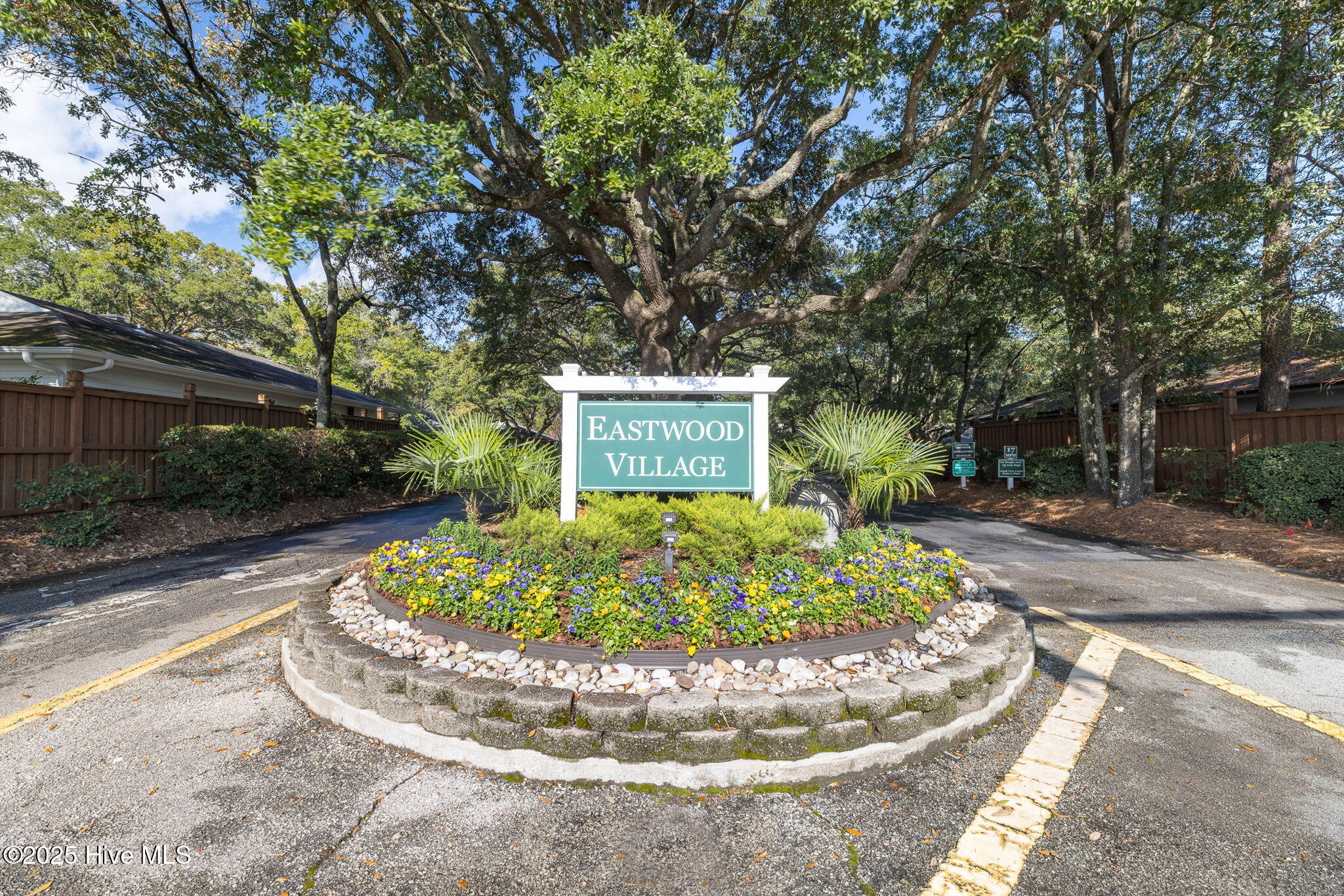 100539672 | Photo 38