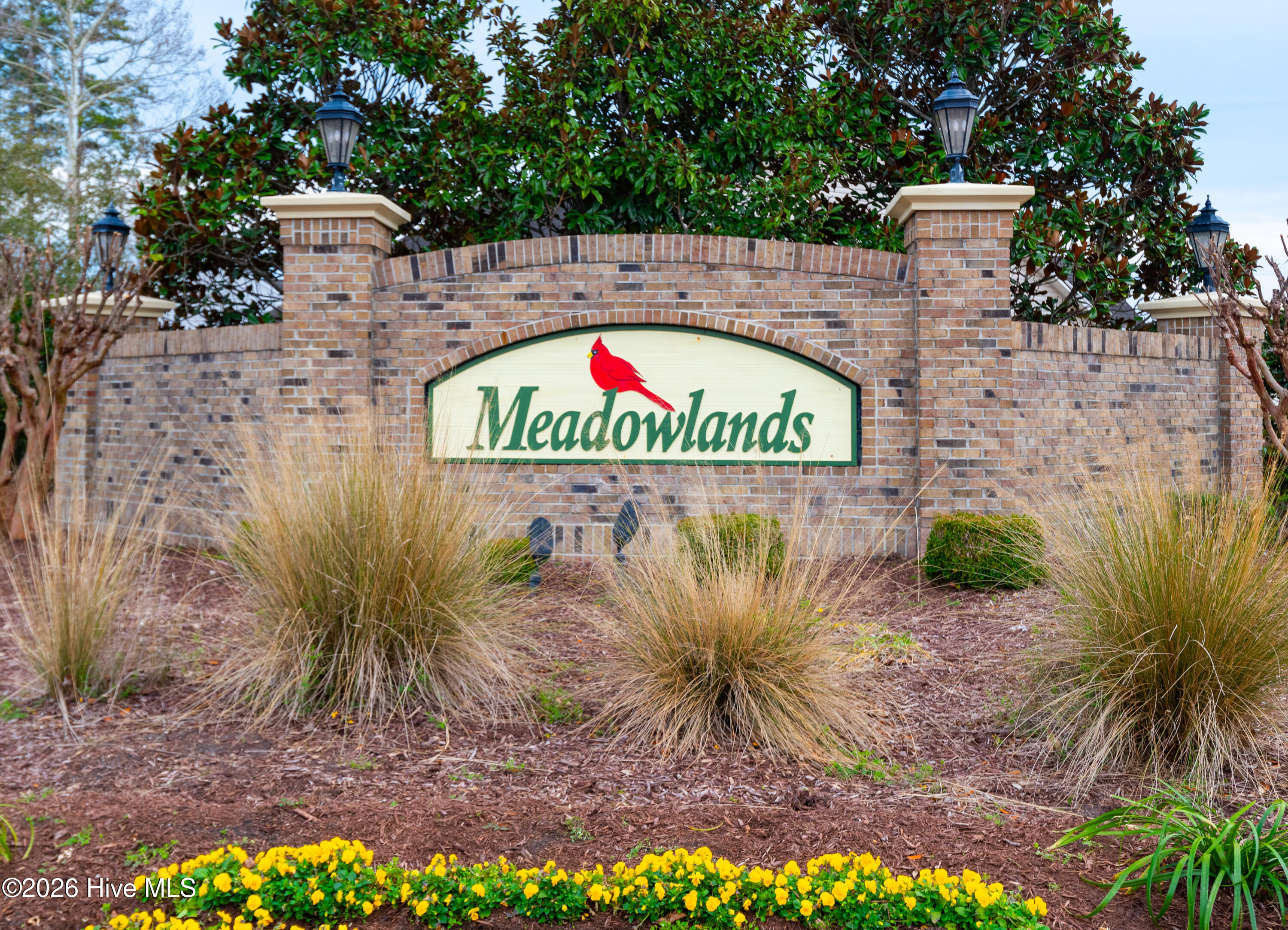 100557484 | Photo 51