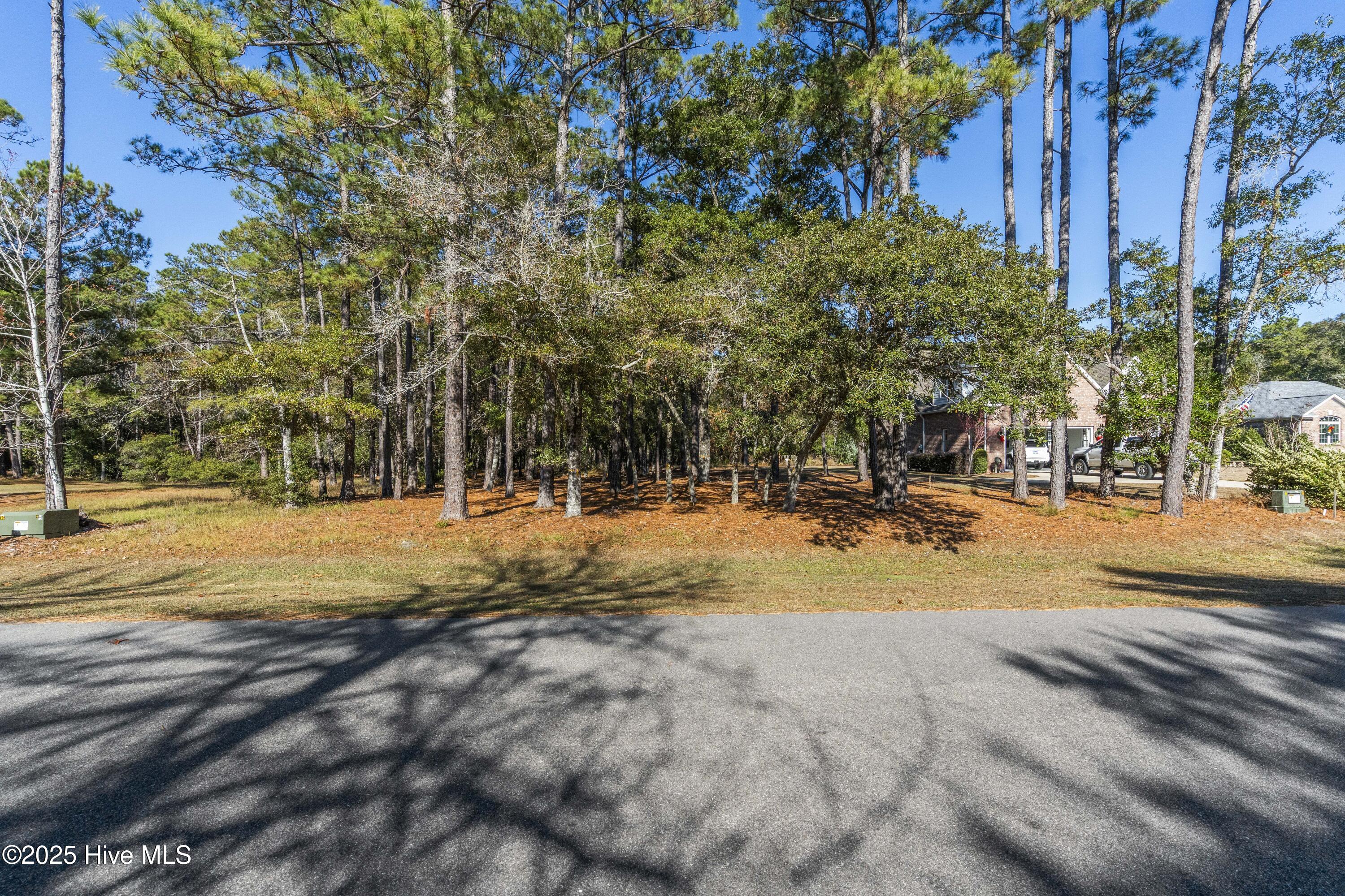 100545340 | Photo 19