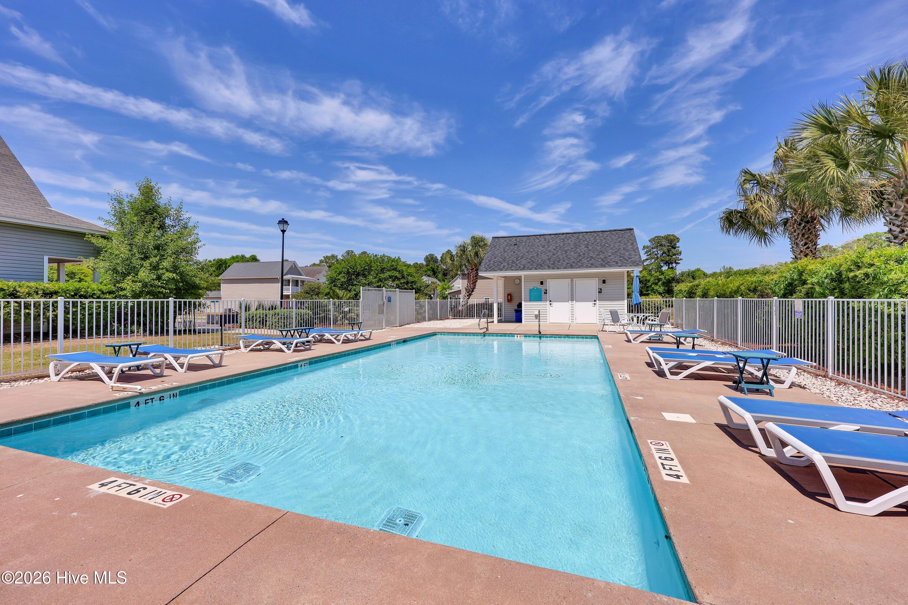 100567851 | Photo 30