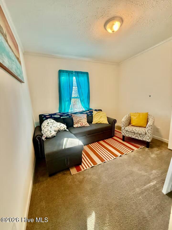 100559172 | Photo 15