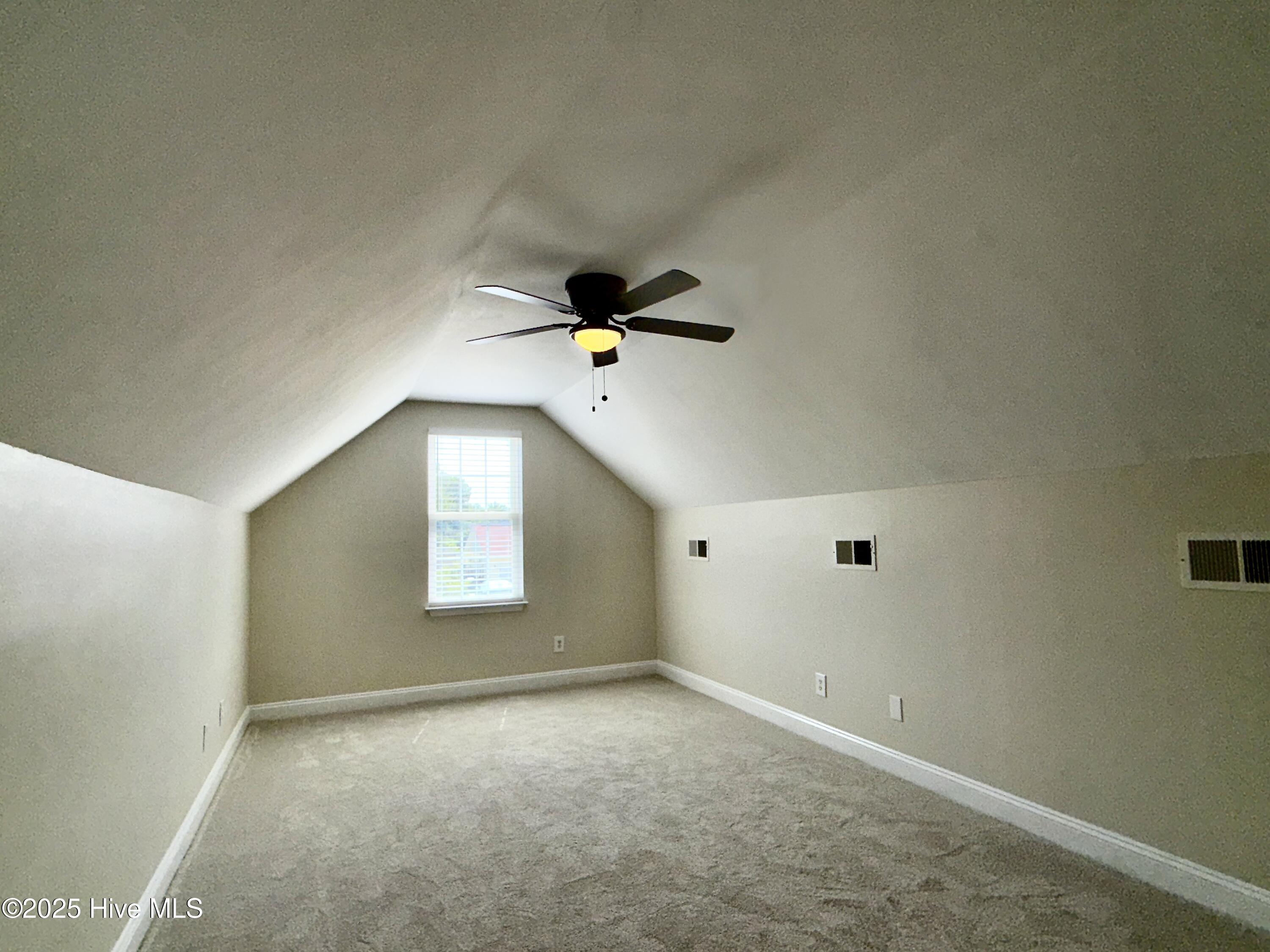 100518451 | Photo 32