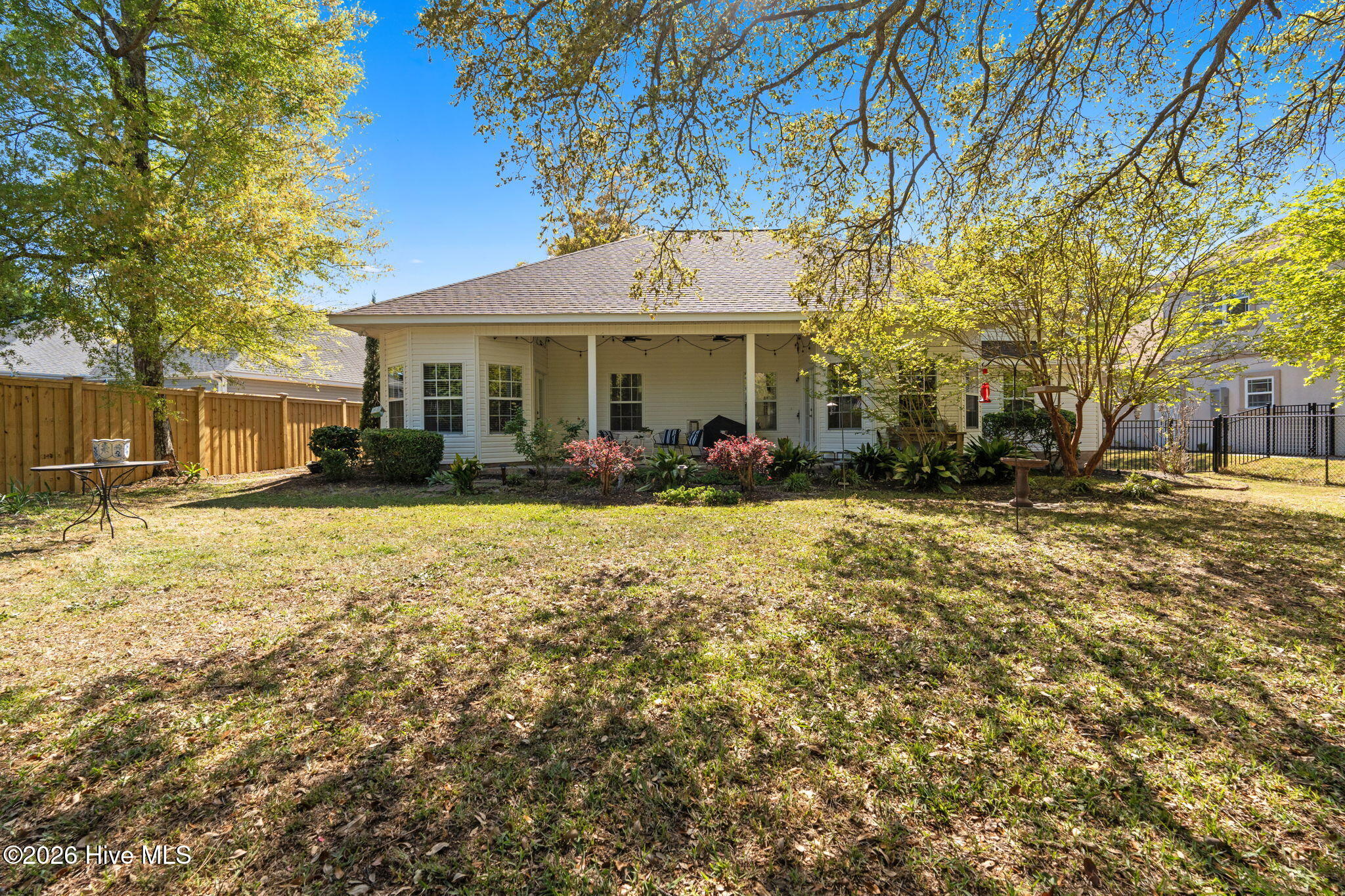 100567853 | Photo 40