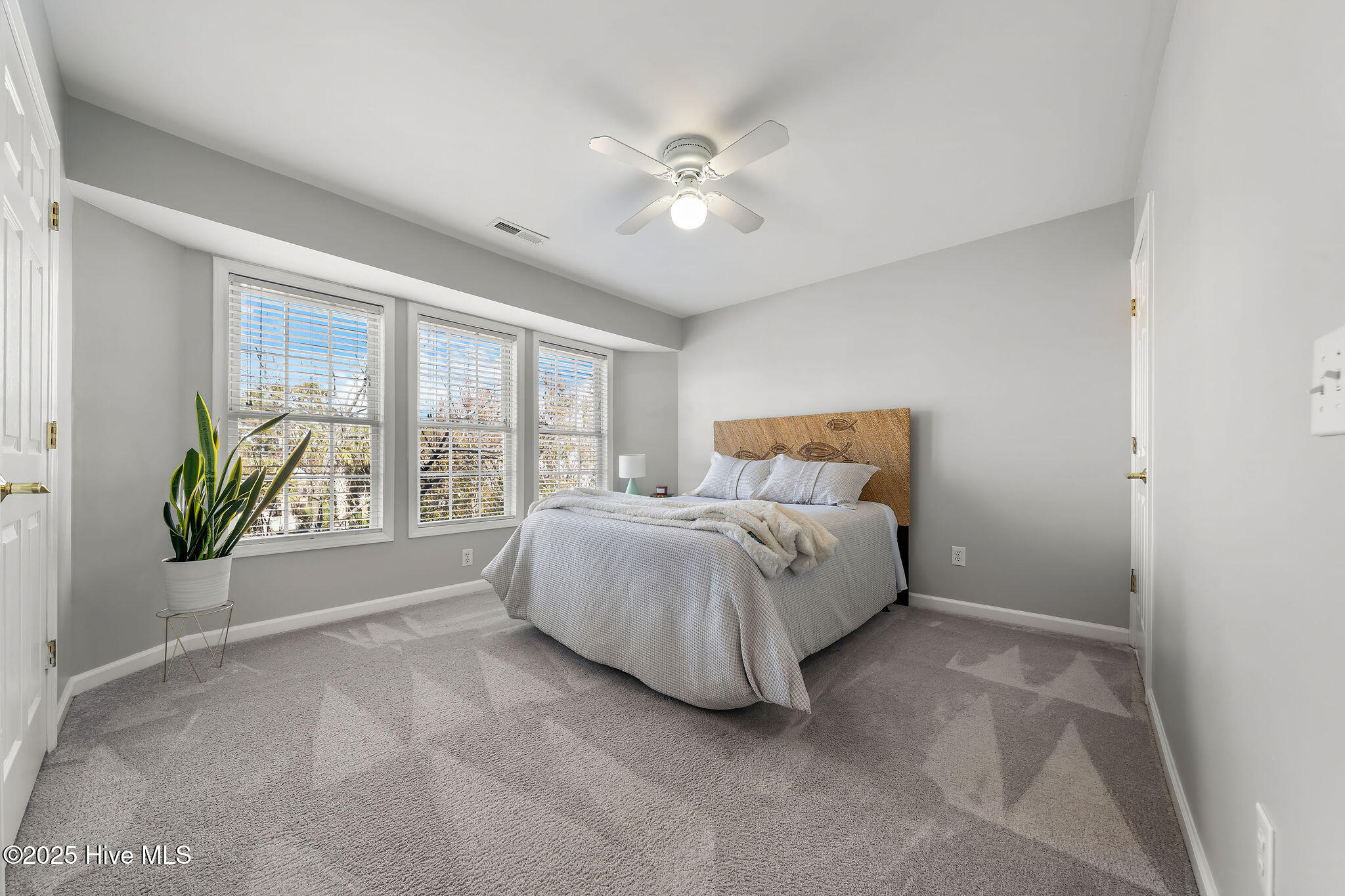 100539157 | Photo 67