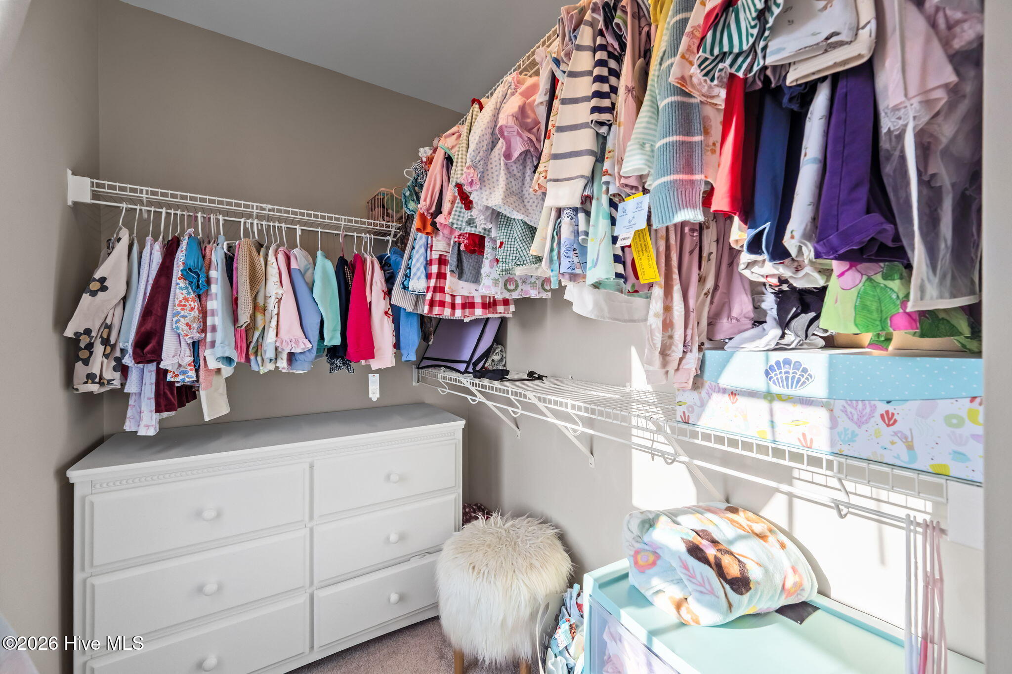 100547429 | Photo 16