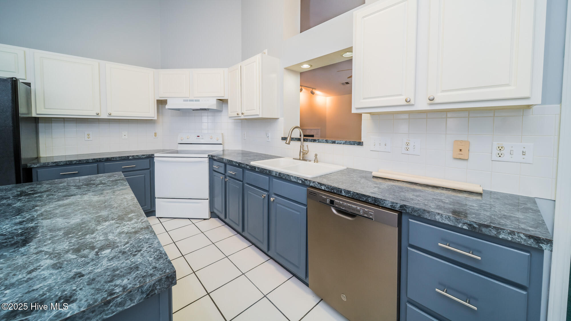 100532169 | Photo 17