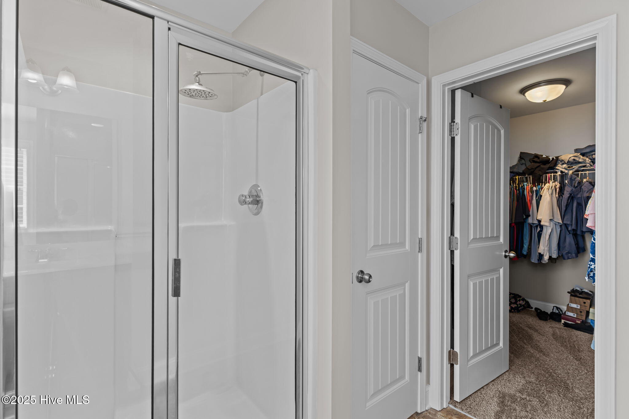 100537762 | Photo 31