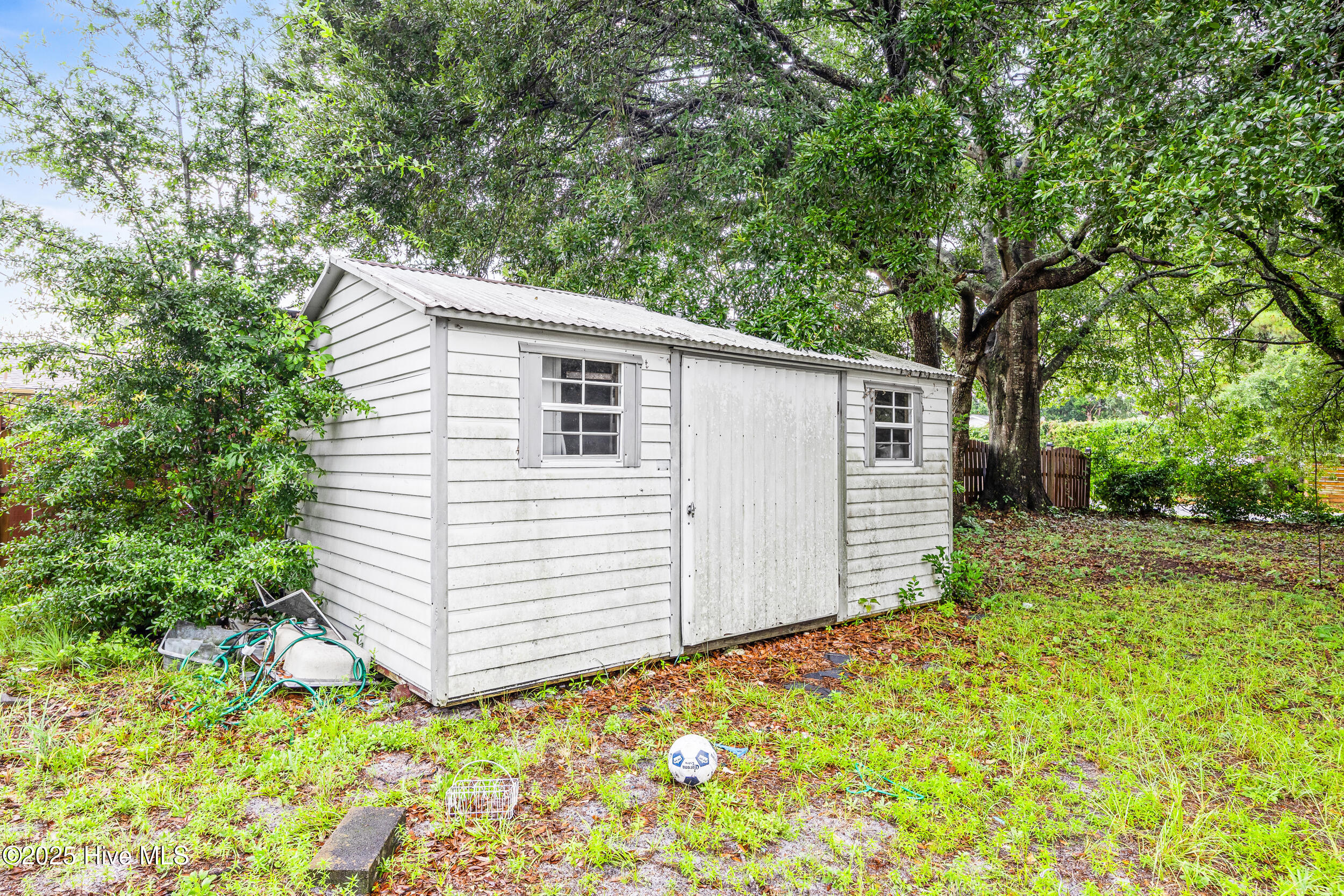 100530217 | Photo 10