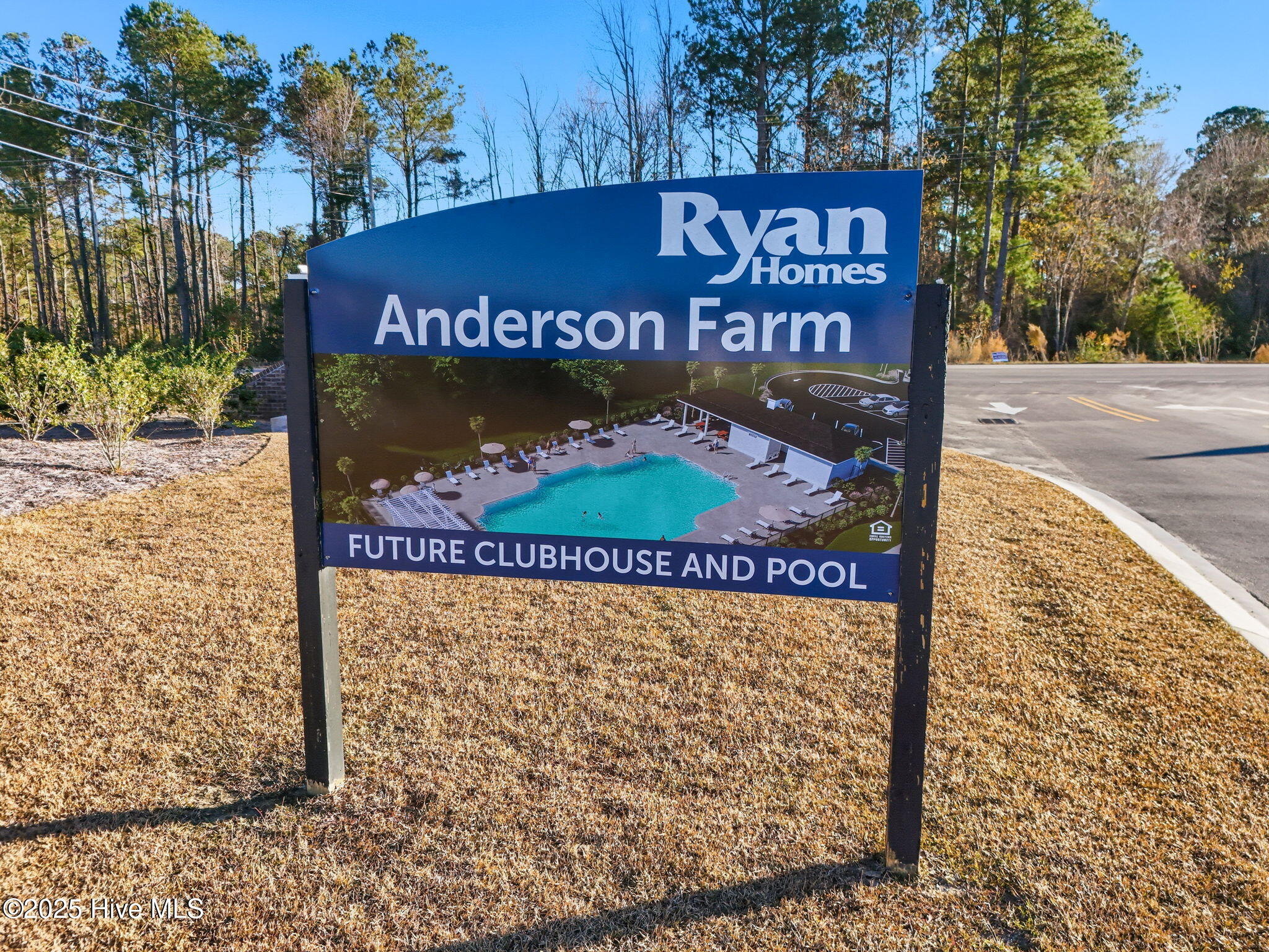 100553115 | Photo 31