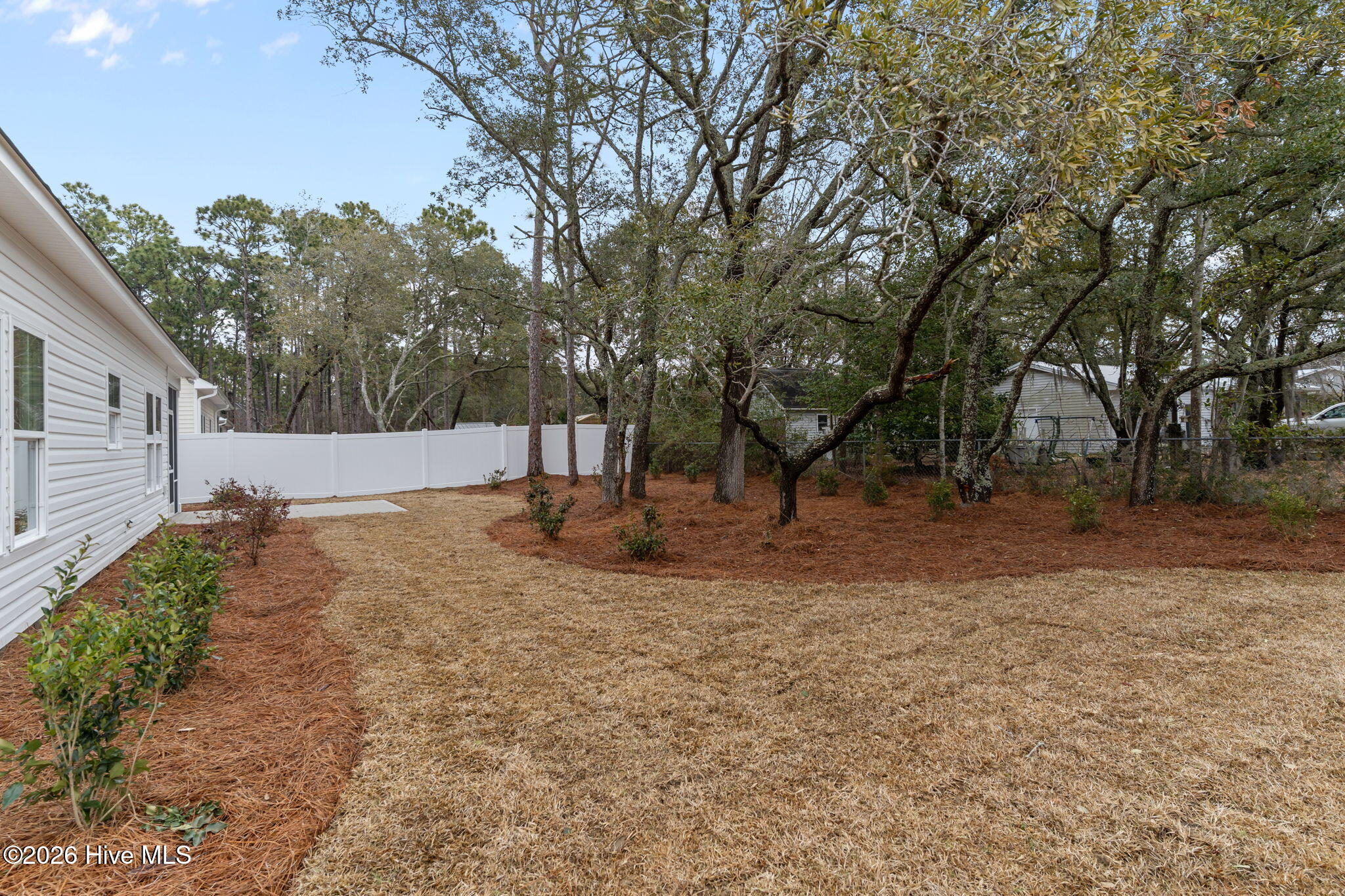 100553165 | Photo 42