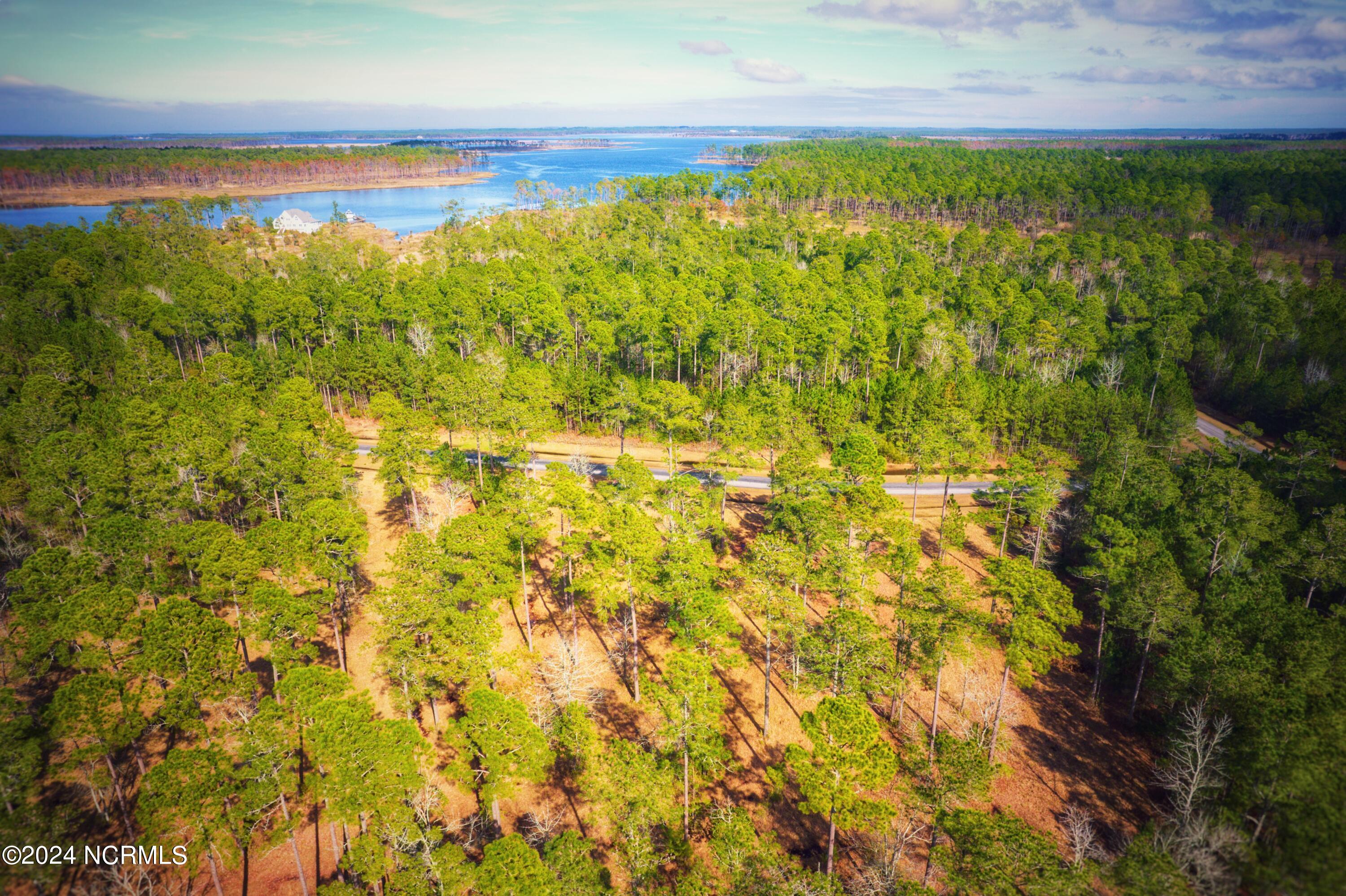 203 Paradox Point Drive, Aurora, NC, 27806