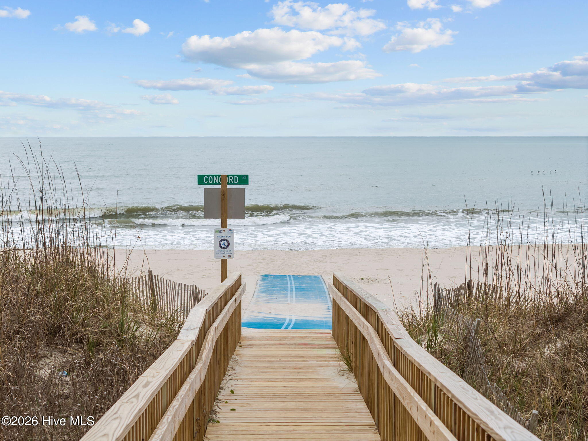 100562748 | Photo 18