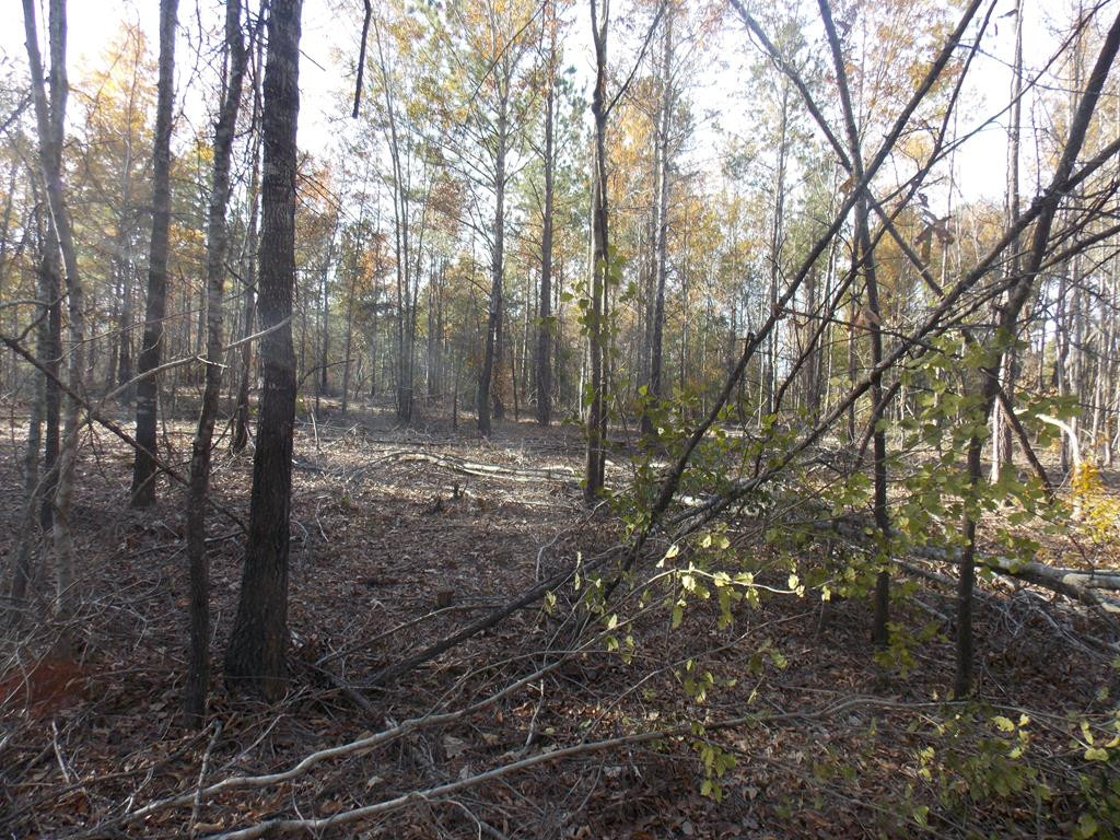 3 Maxim Road, Lincolnton, GA 30817 Listing Photo  1