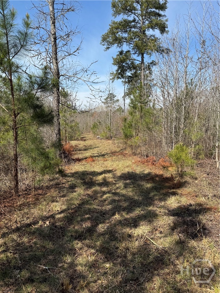 738 Old Mineral Springs Road, Elberton, GA, 30635