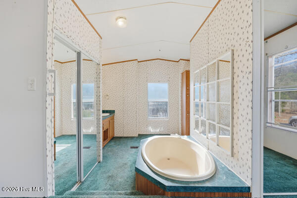 100548594 | Photo 15