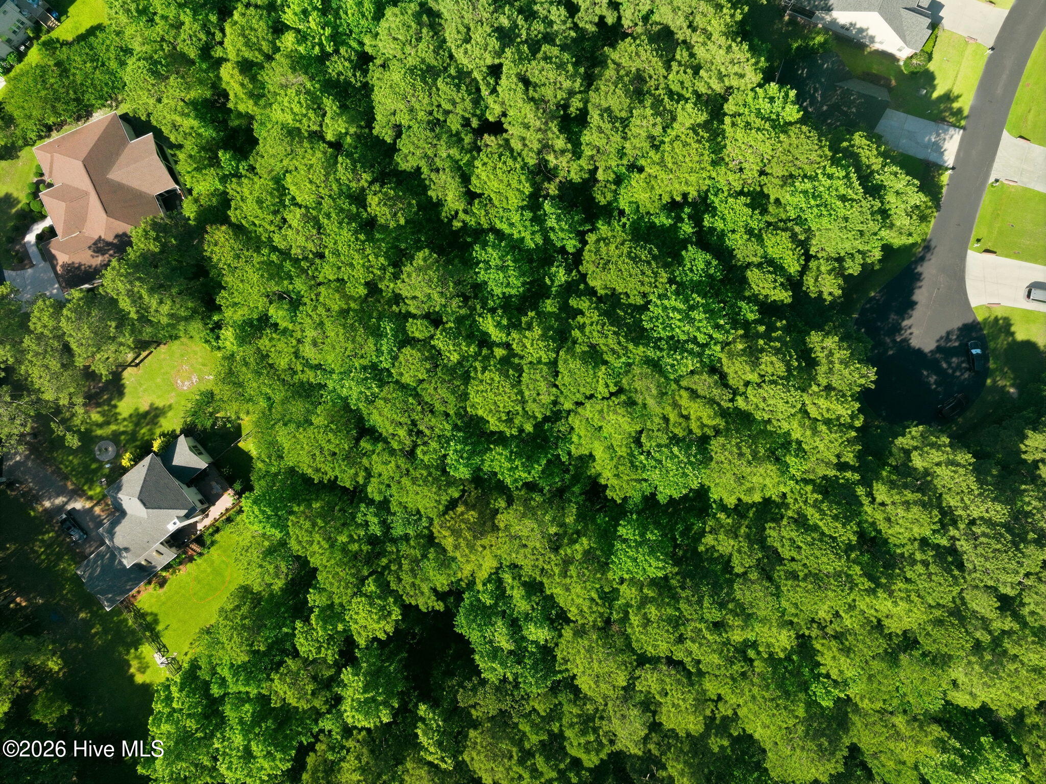 100579383 | Photo 15