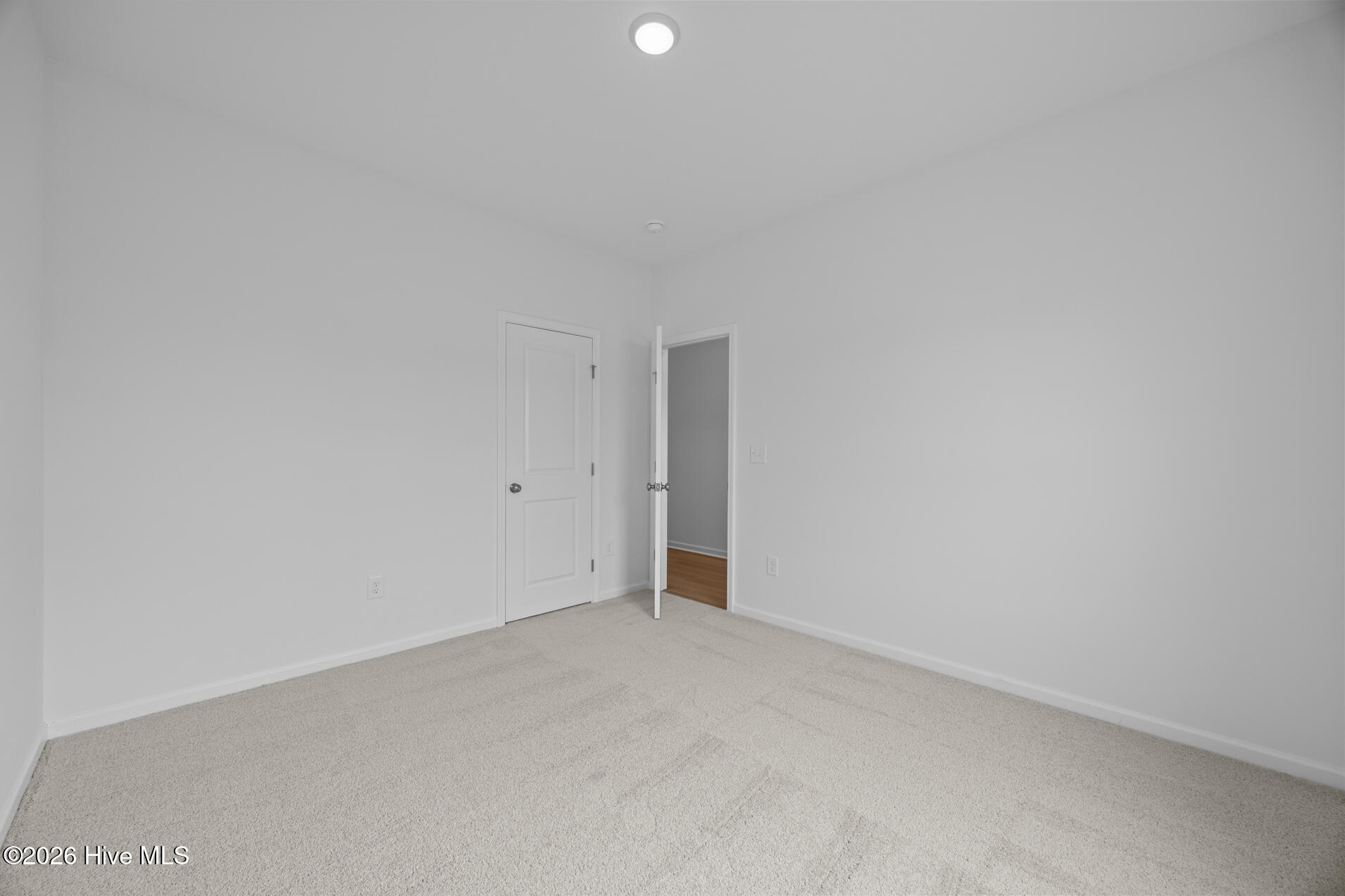 100555115 | Photo 10