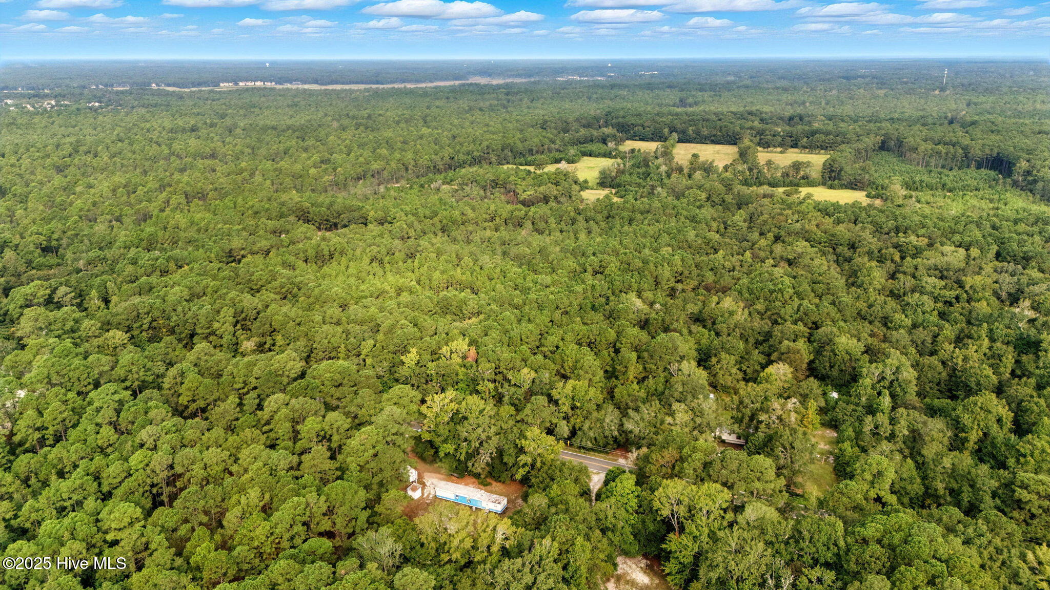 100526805 | Photo 15