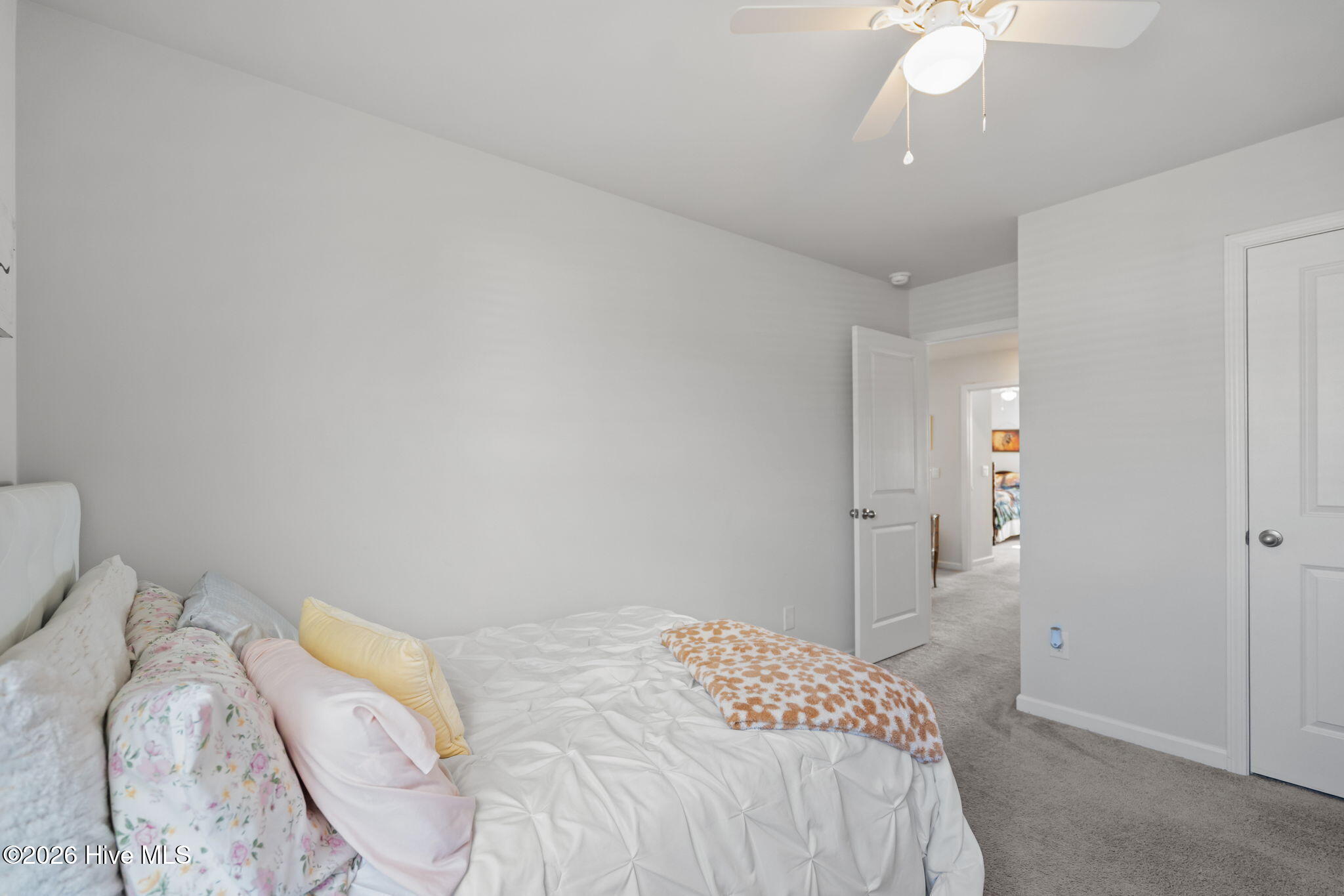 100554763 | Photo 39