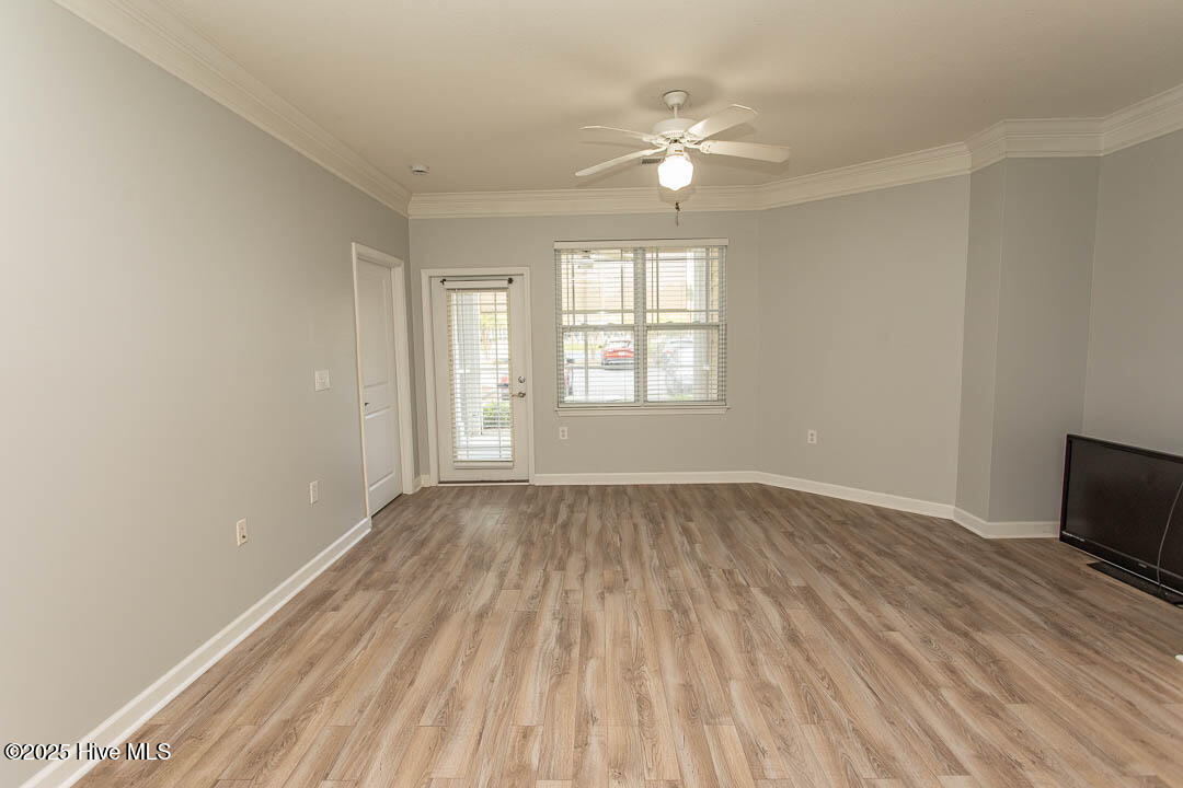 100532415 | Photo 12