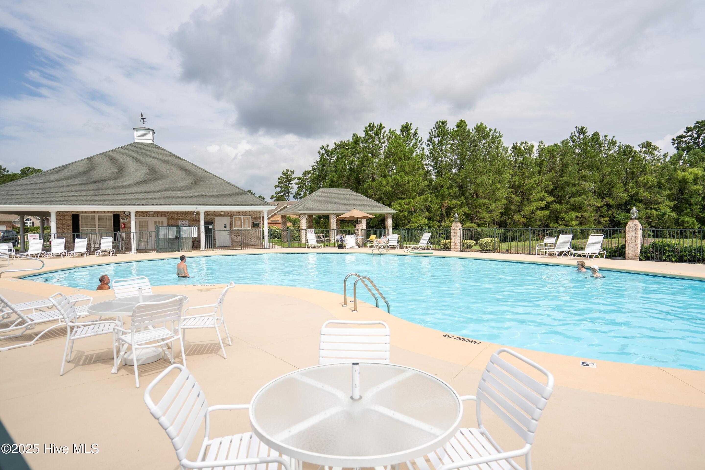 100536985 | Photo 46