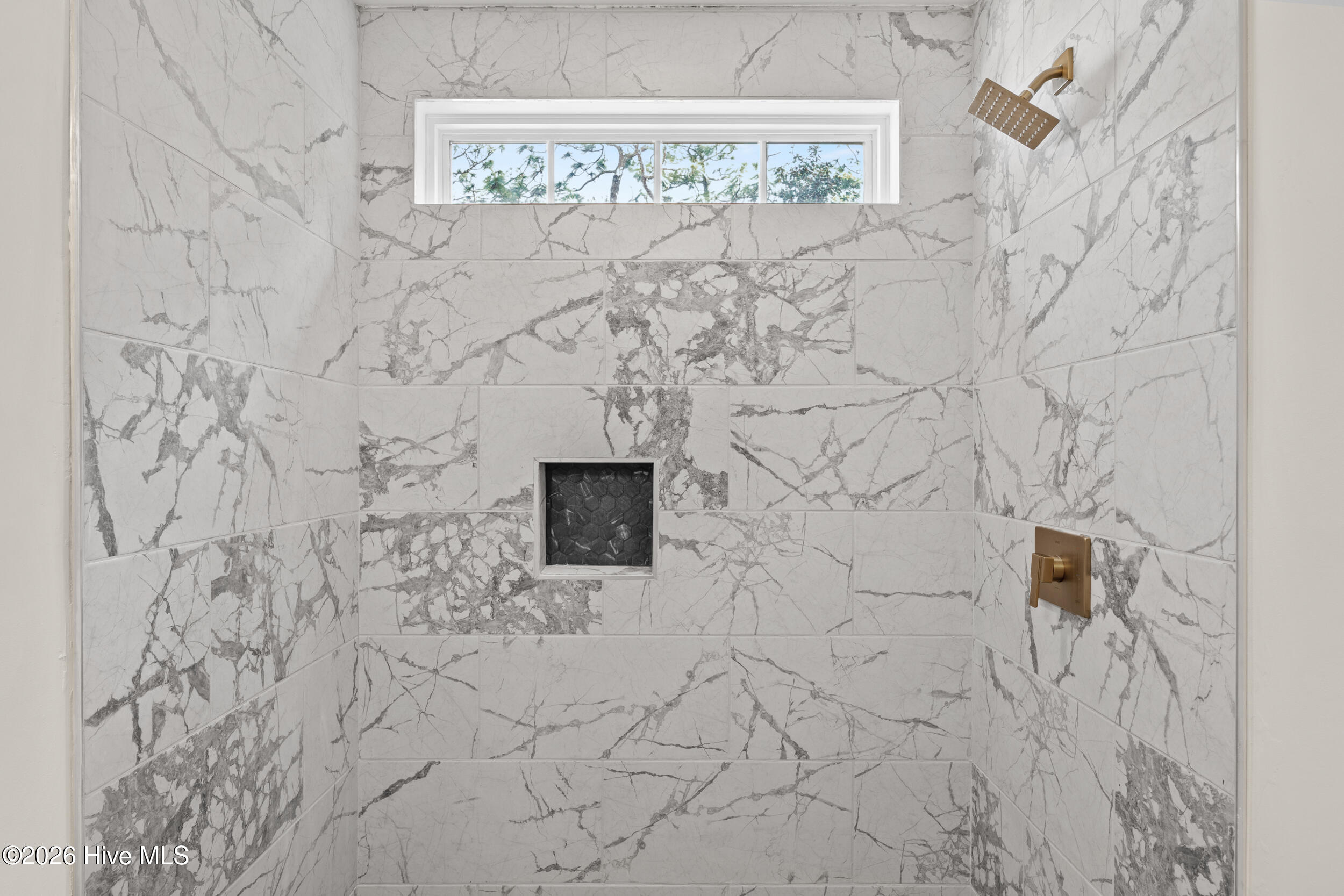 100569542 | Photo 15