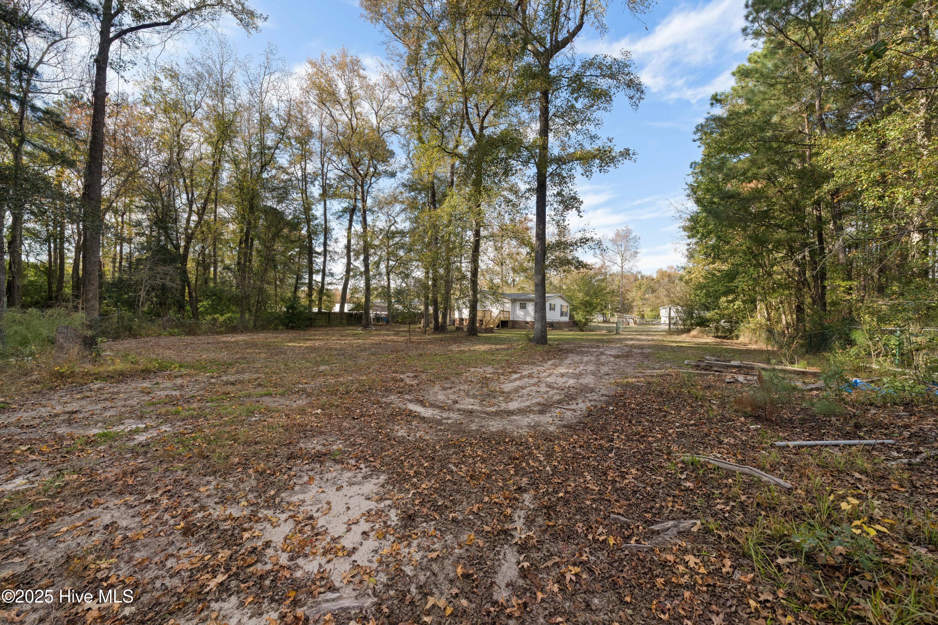 100541471 | Photo 37