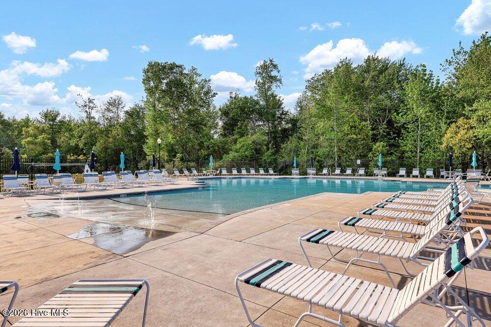 100568146 | Photo 32