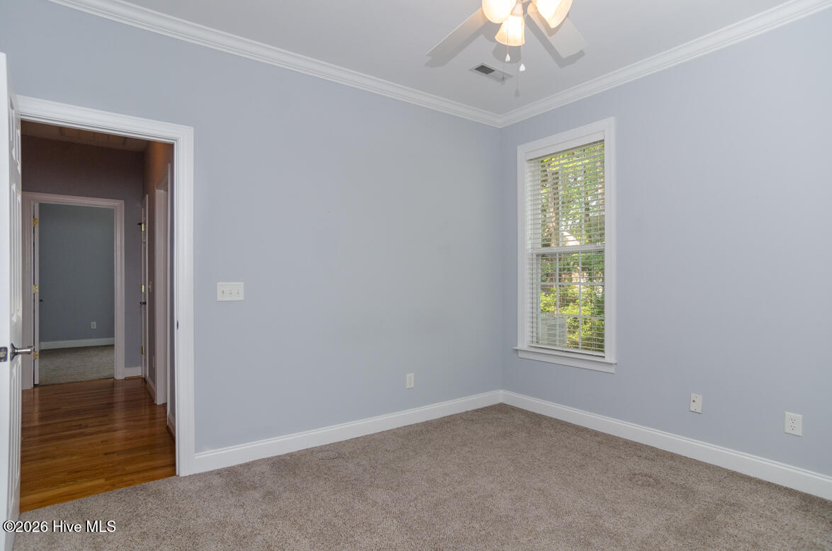 100553134 | Photo 26