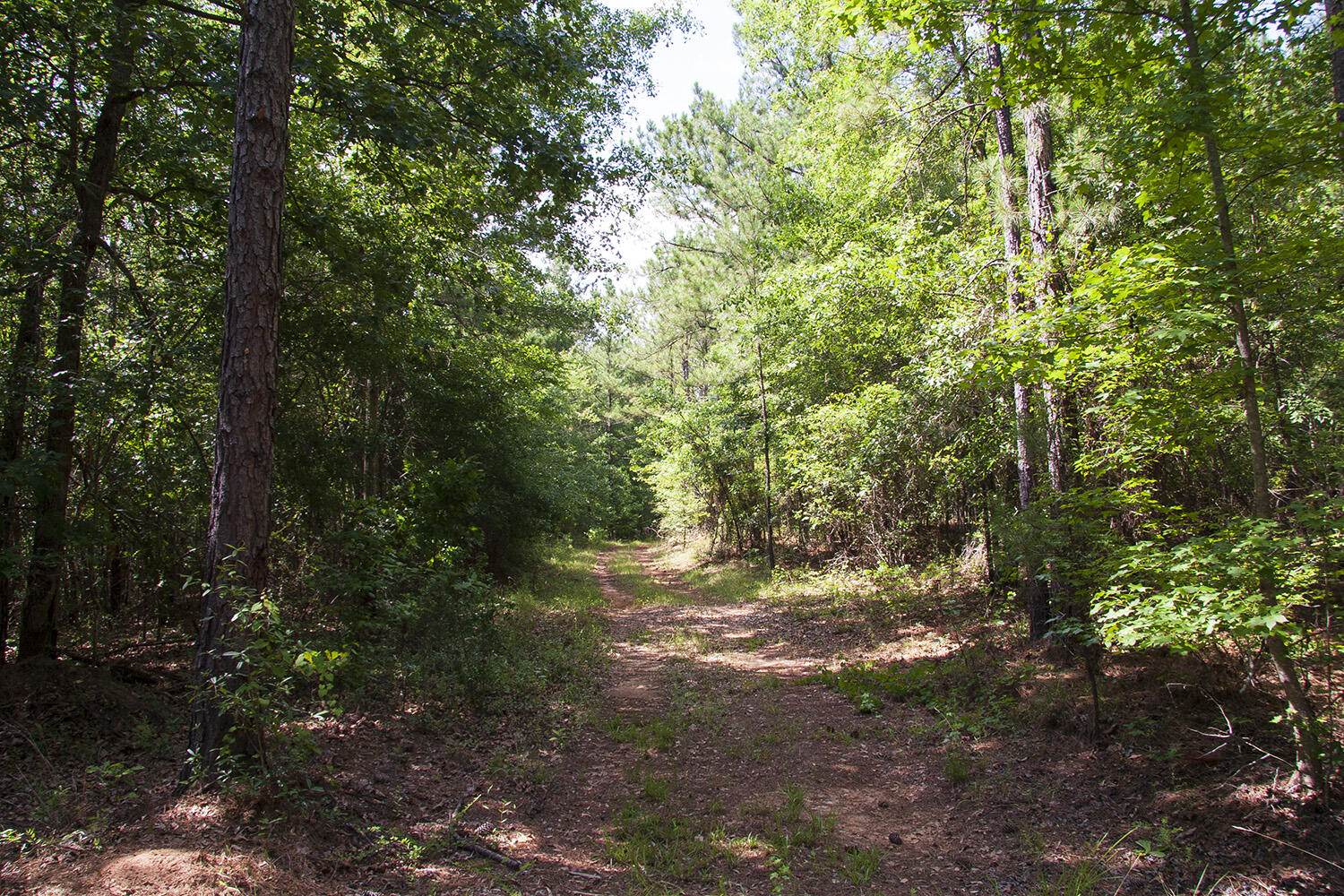 1515D HEPHZIBAH - MCBEAN Road, Hephzibah, GA, 30815