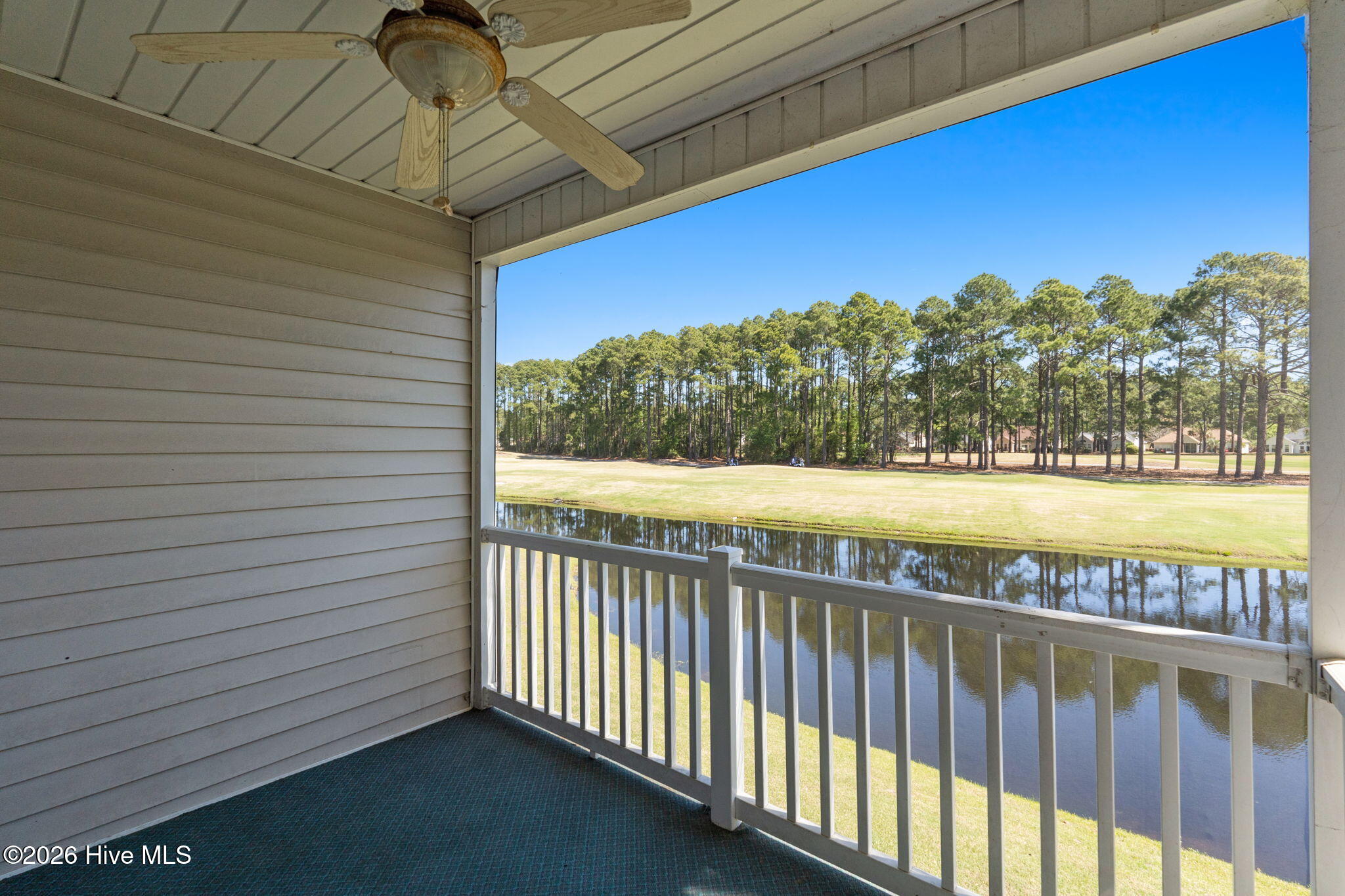 100569221 | Photo 33