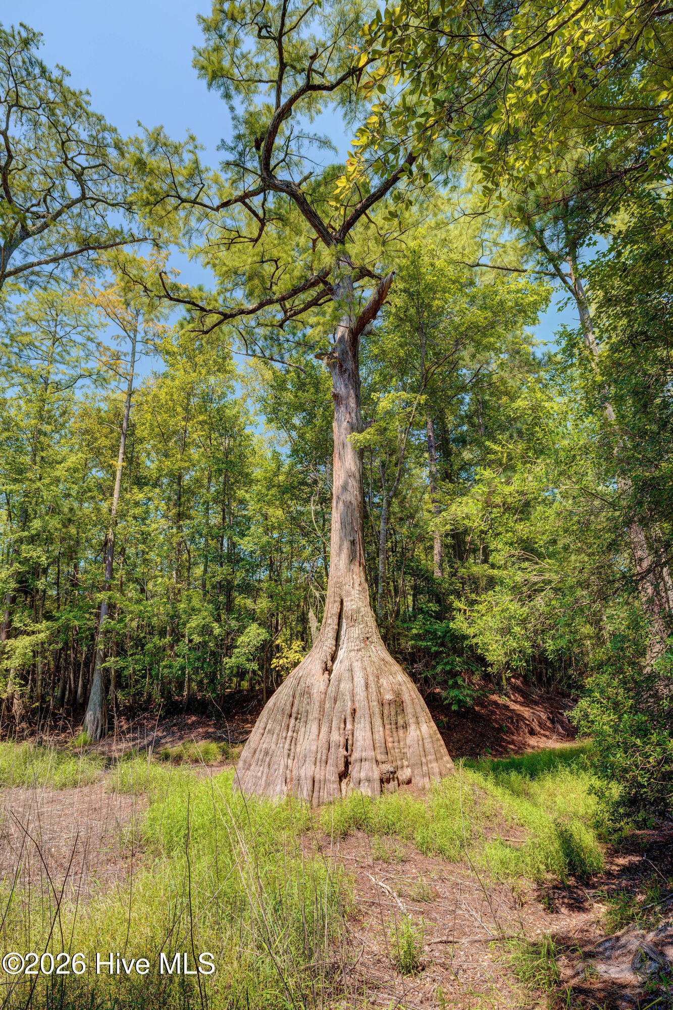 100558109 | Photo 69