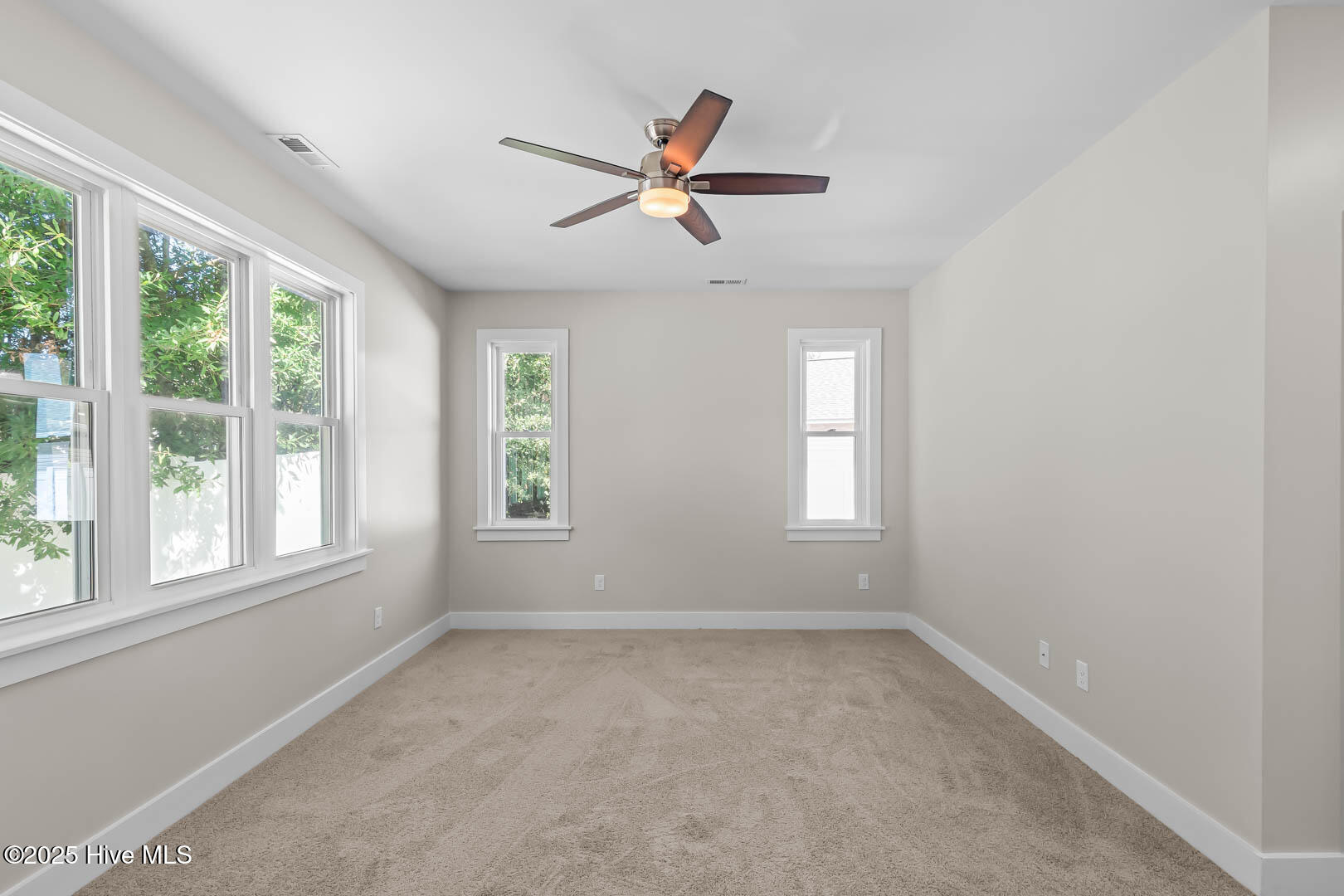 100535399 | Photo 22