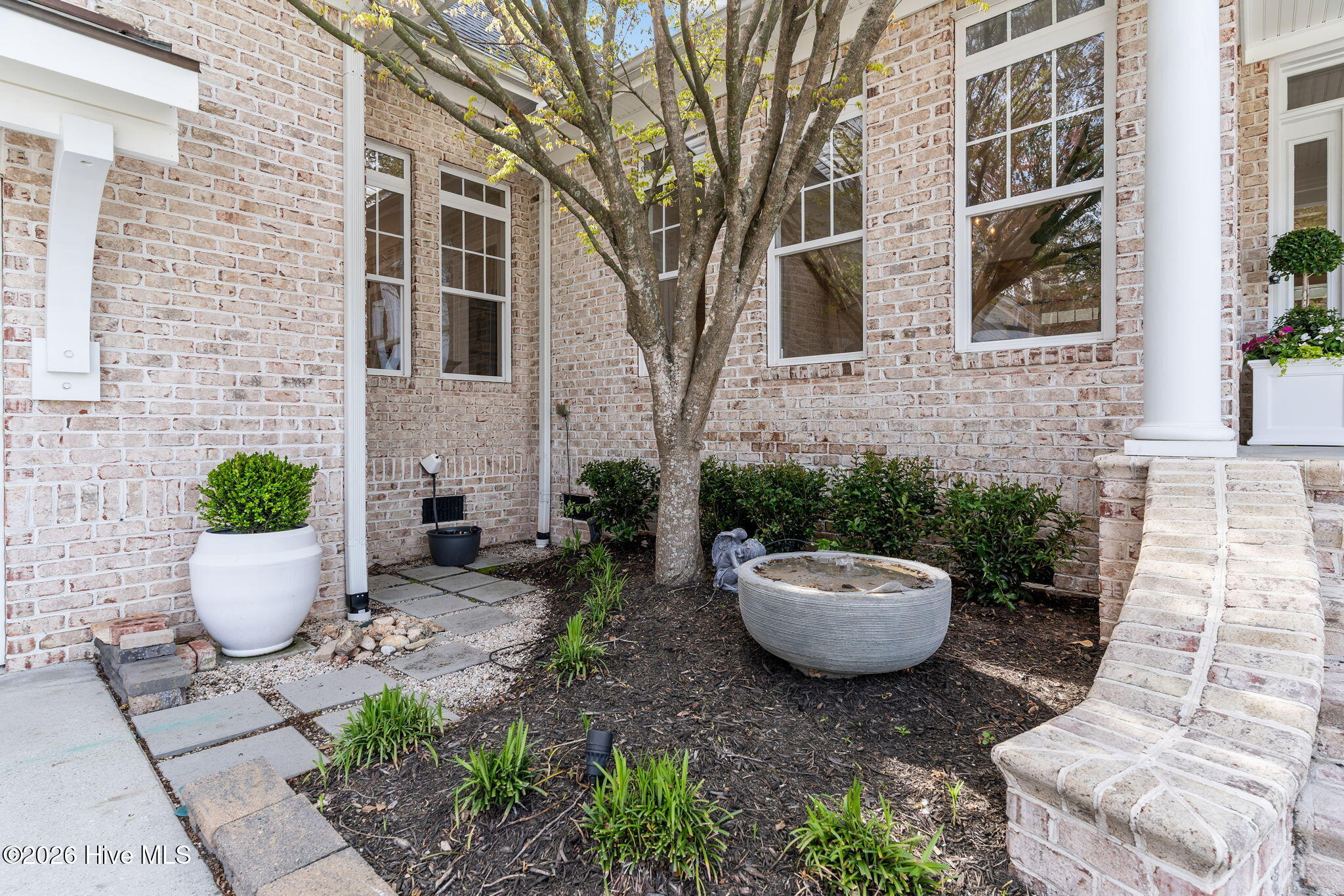 100561575 | Photo 81