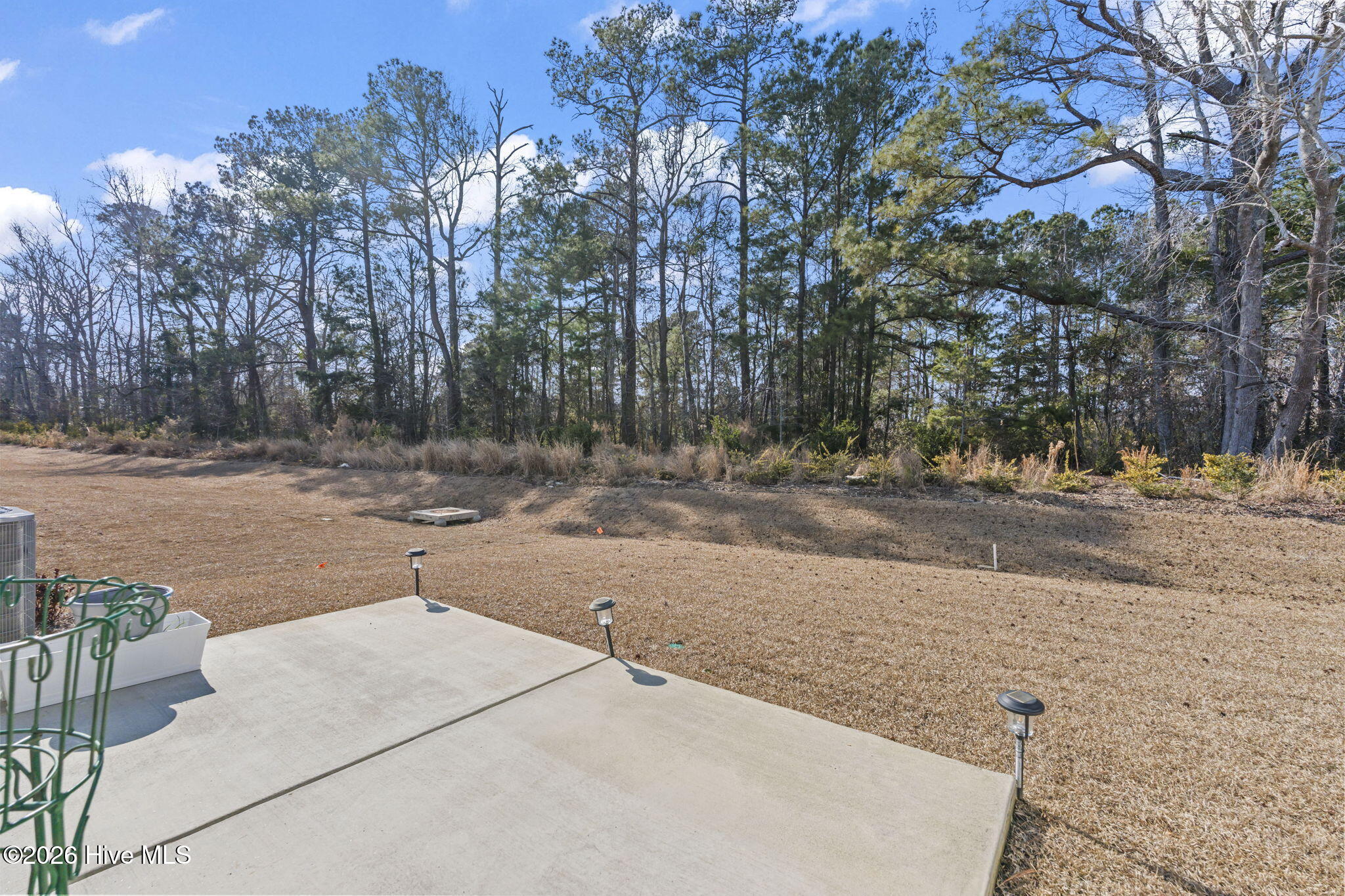 100553971 | Photo 23