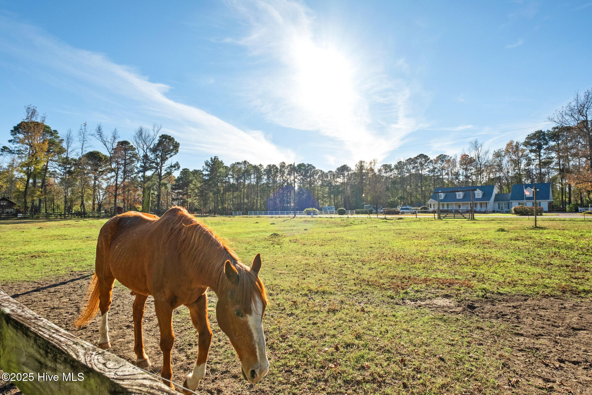 100542459 | Photo 31