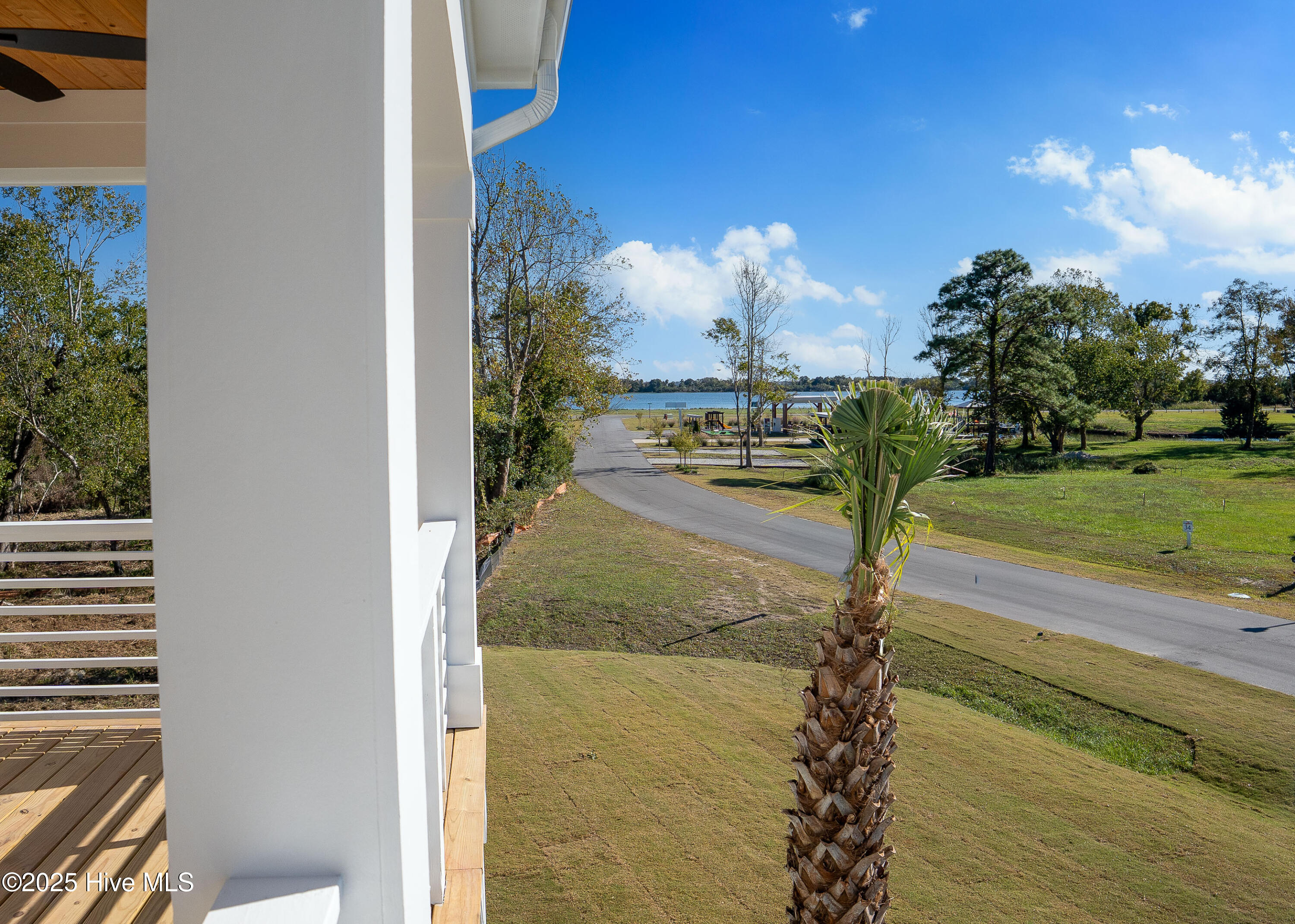 100557096 | Photo 13