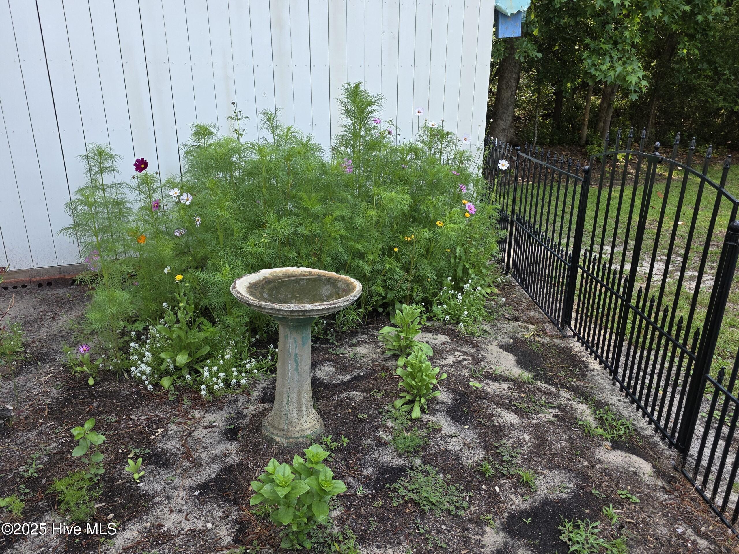 100500123 | Photo 40