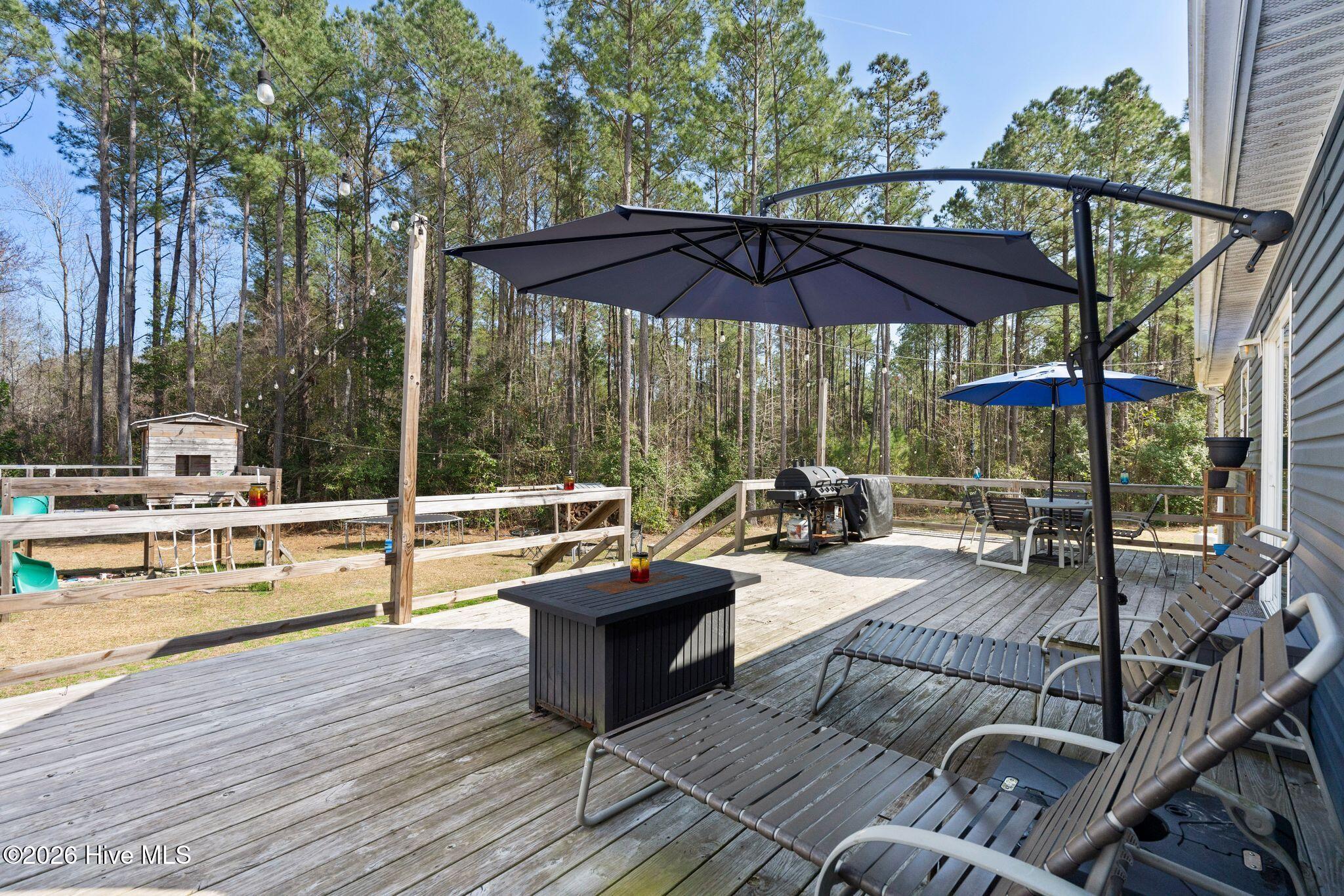 100559666 | Photo 48