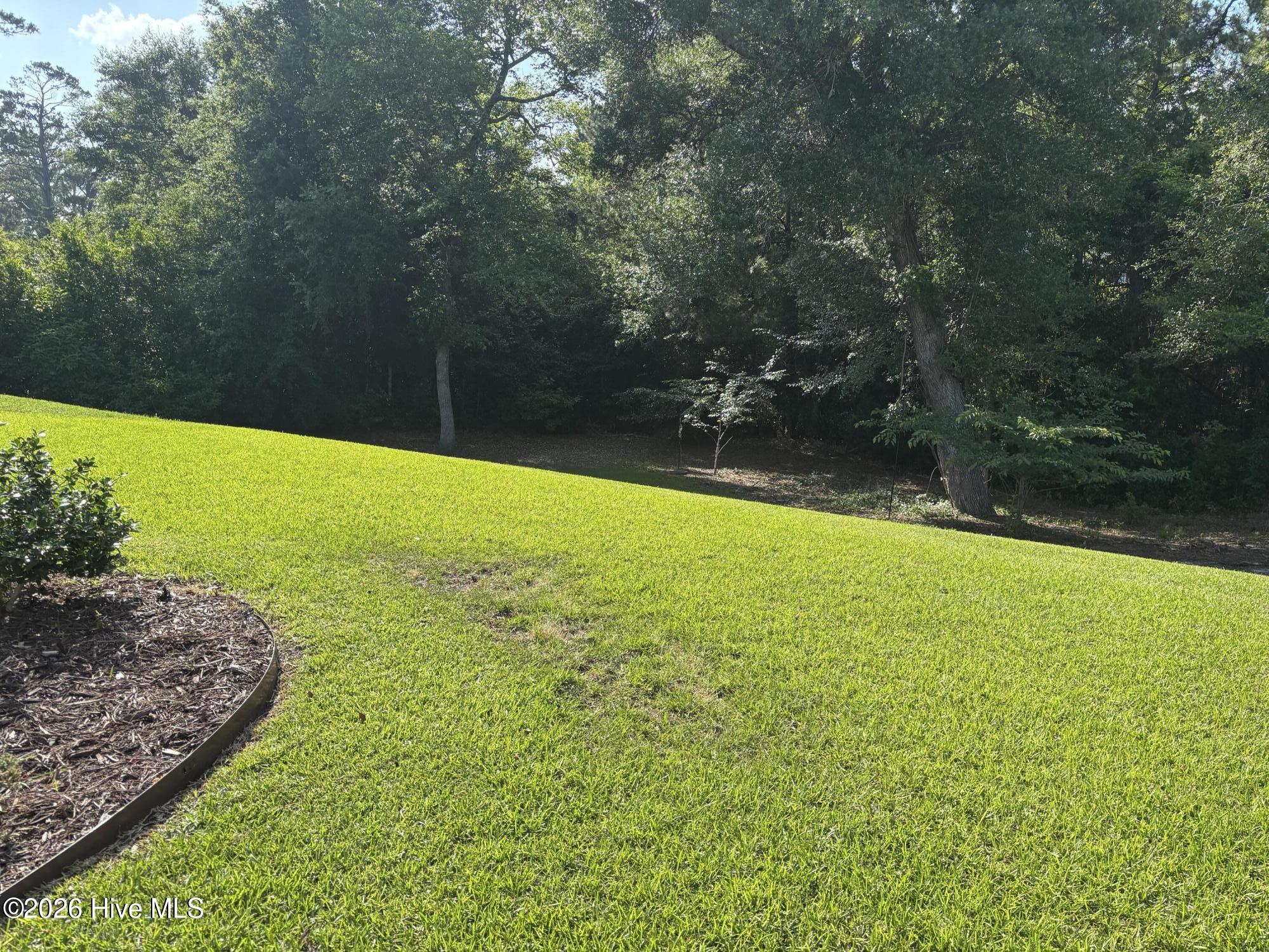 100560491 | Photo 16