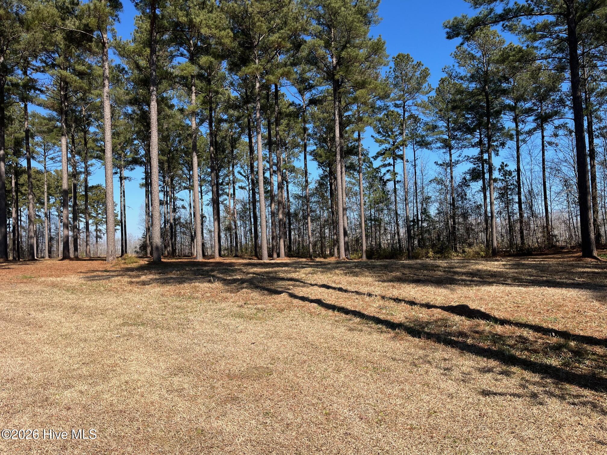 2 122 Bald Head Island Court S,Oriental