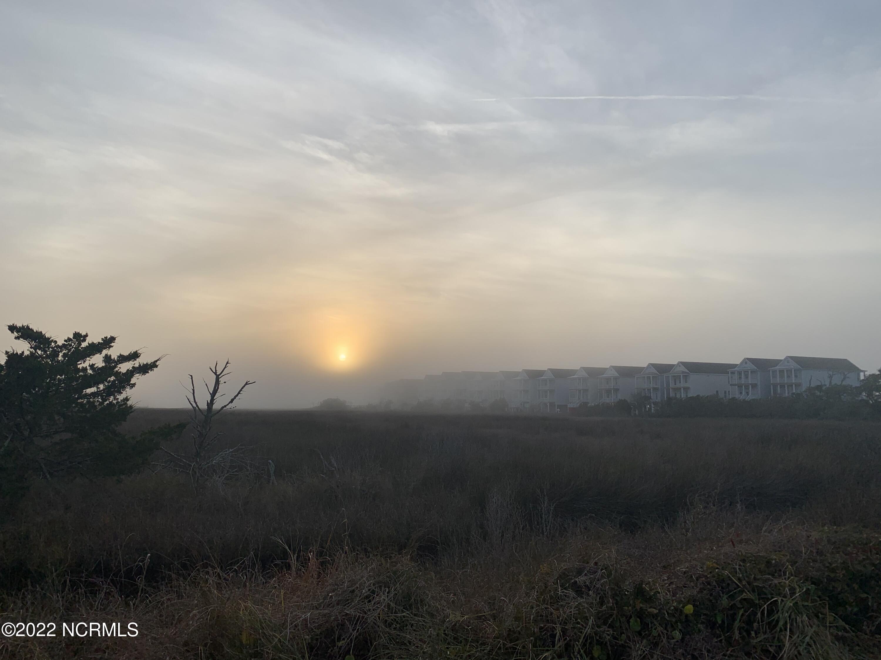 100496127 | Photo 51