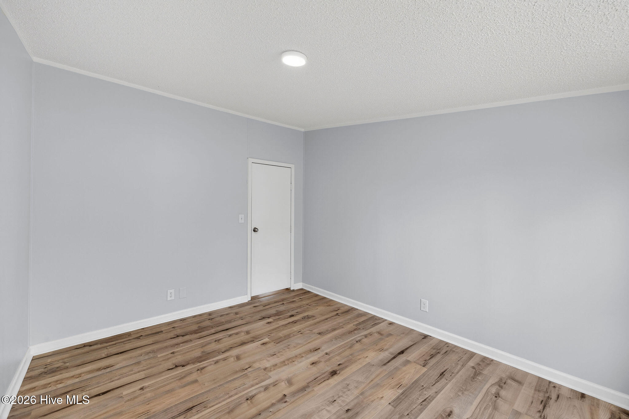 100556800 | Photo 19