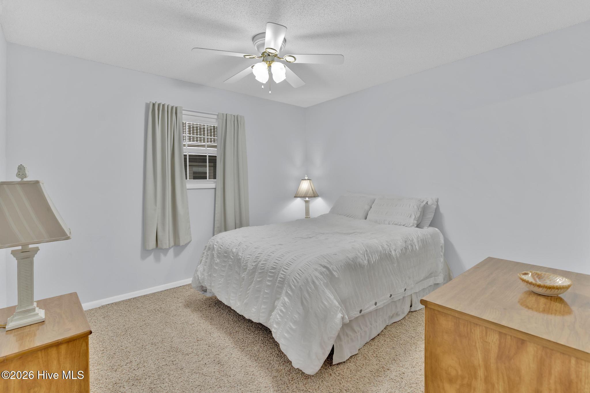 100551313 | Photo 21