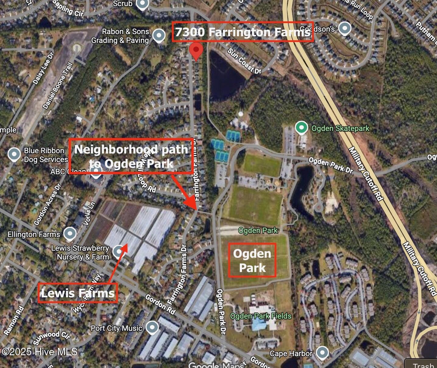 100540717 | Photo 51