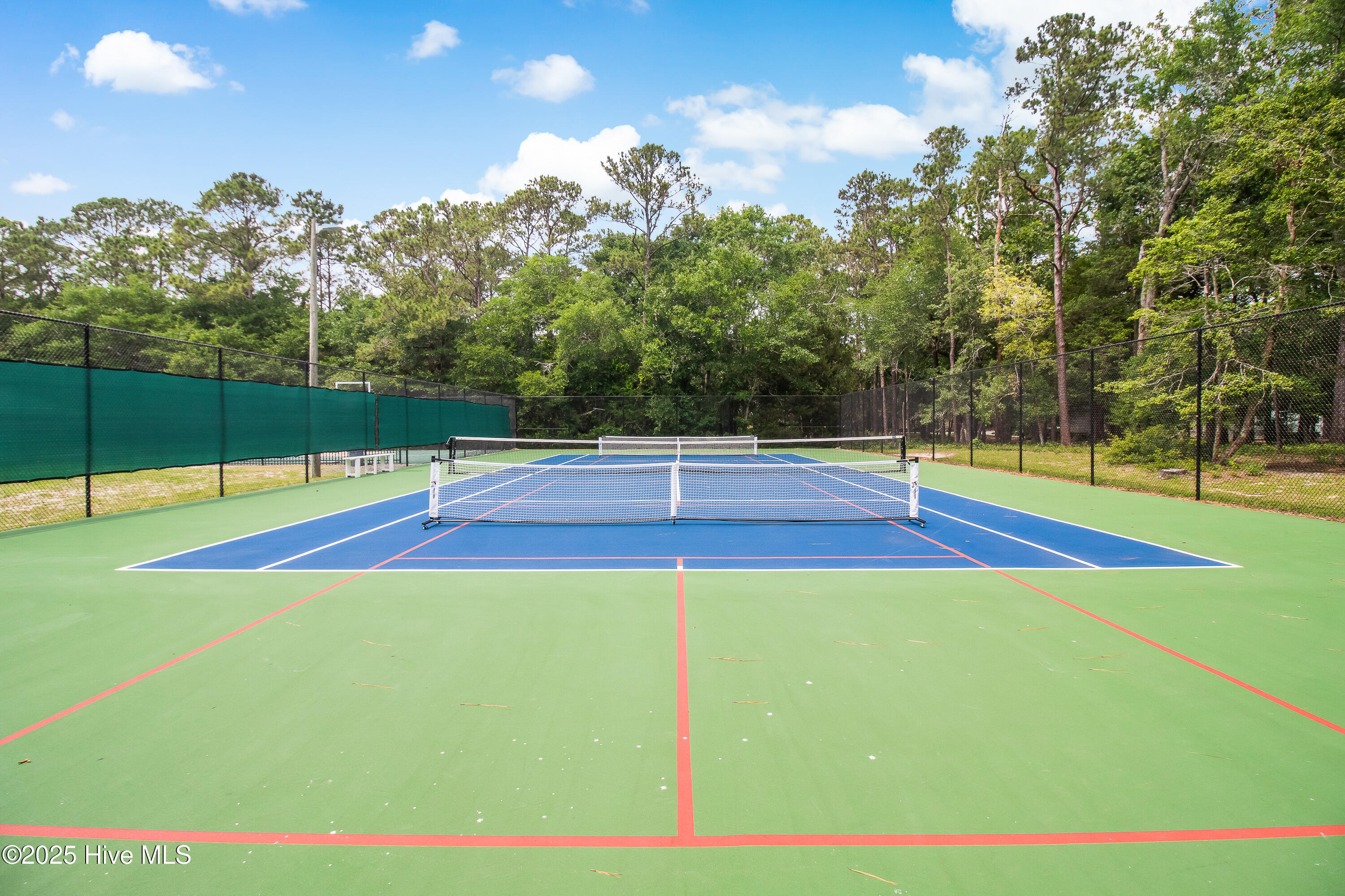 100536639 | Photo 79